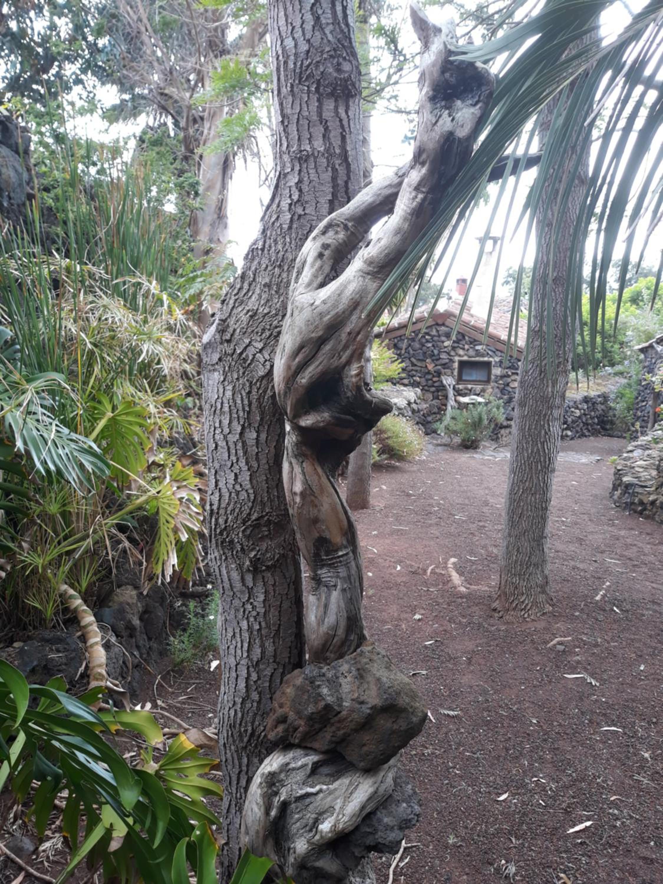 Finca El Lance view 2