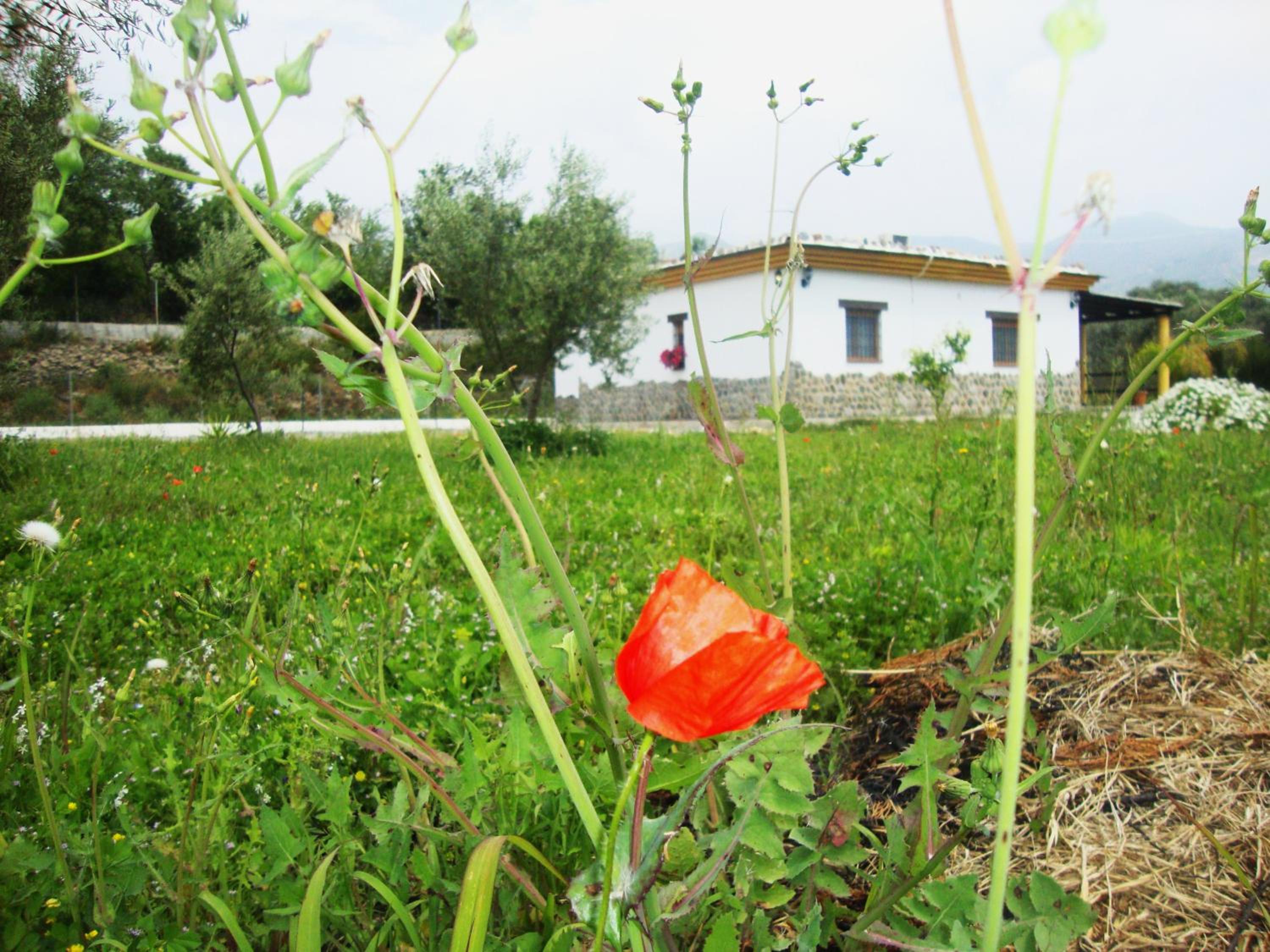 Casa Rural La Chumbera