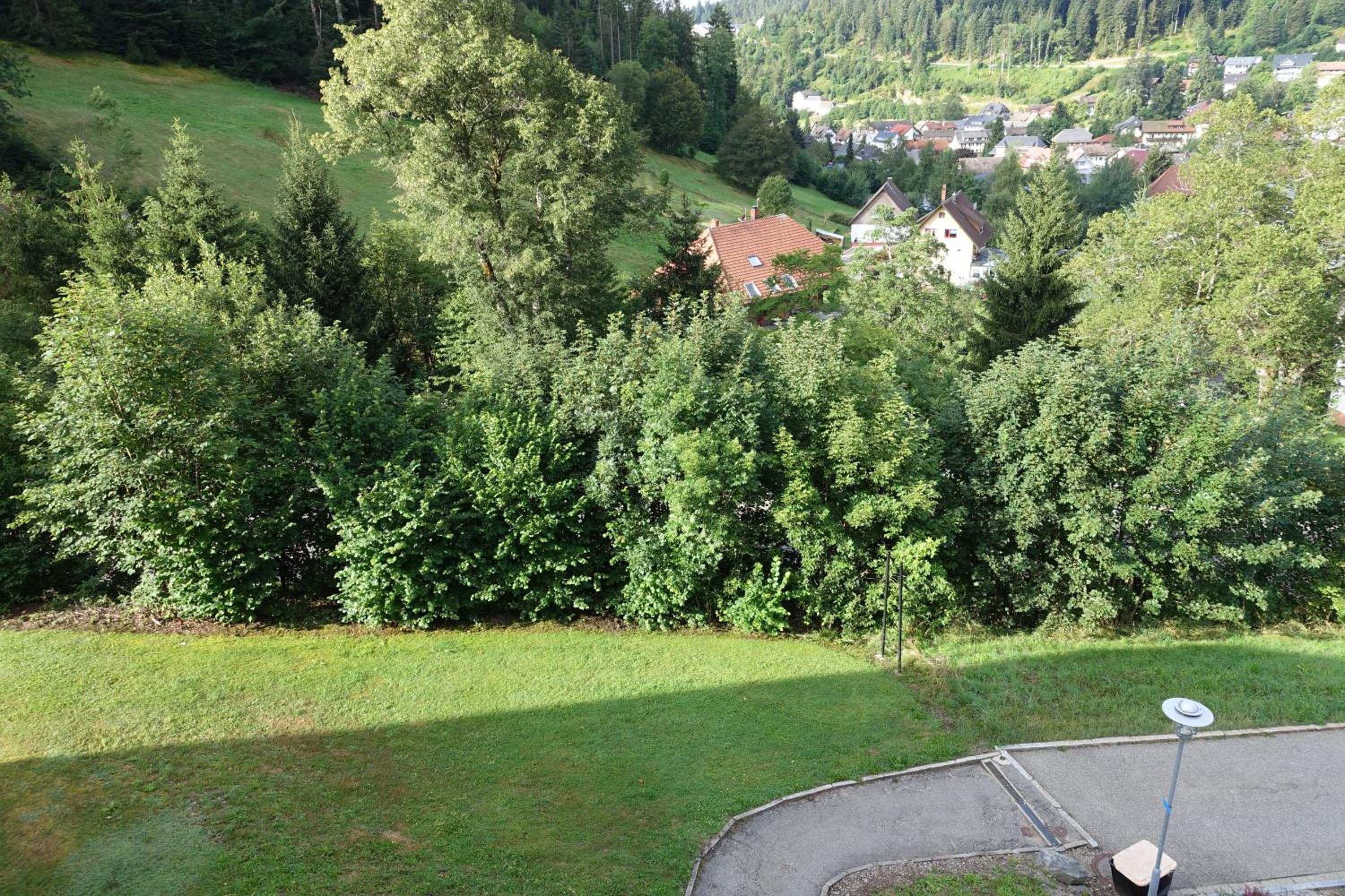 Photo 26