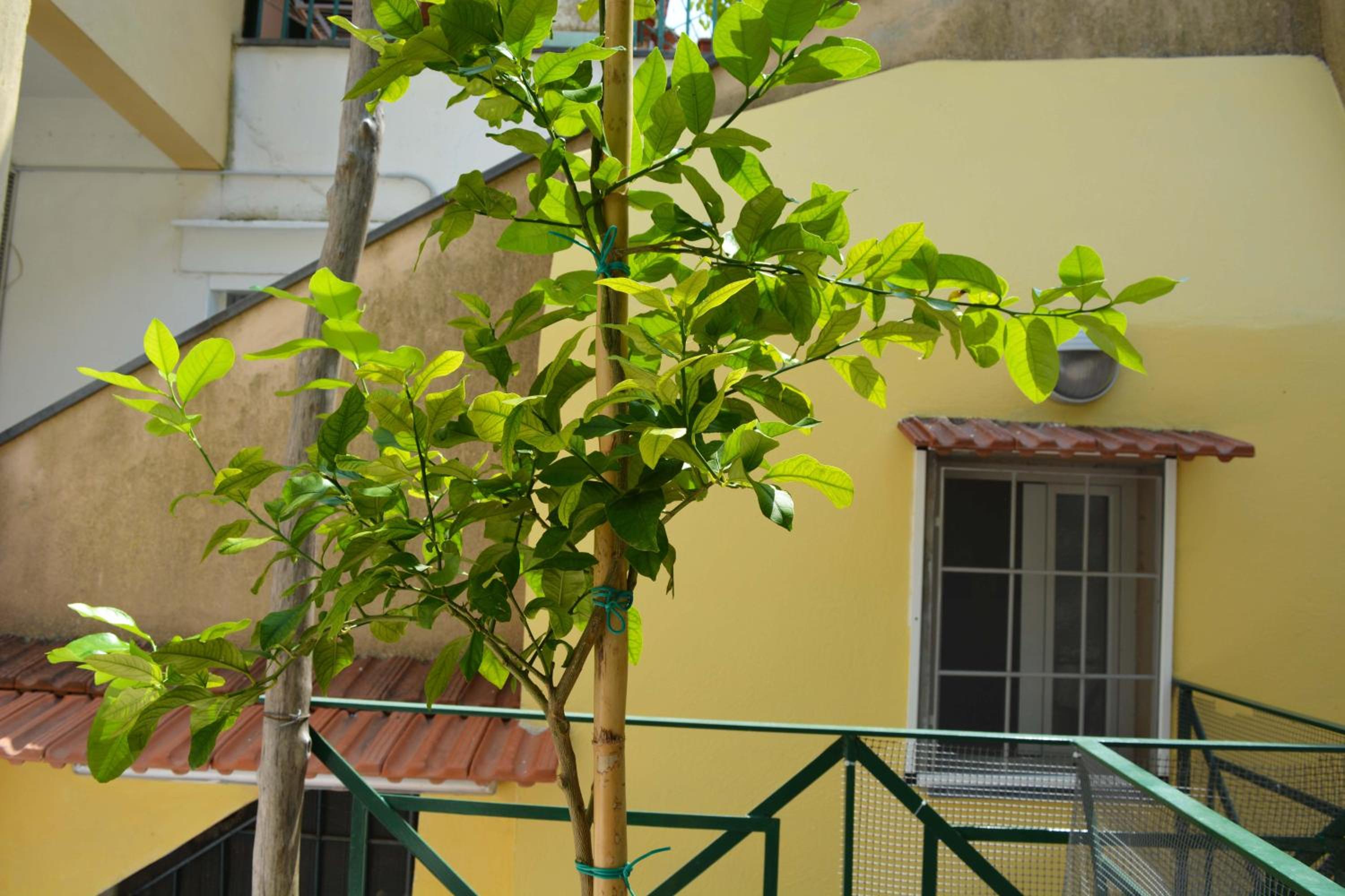 Photo 29