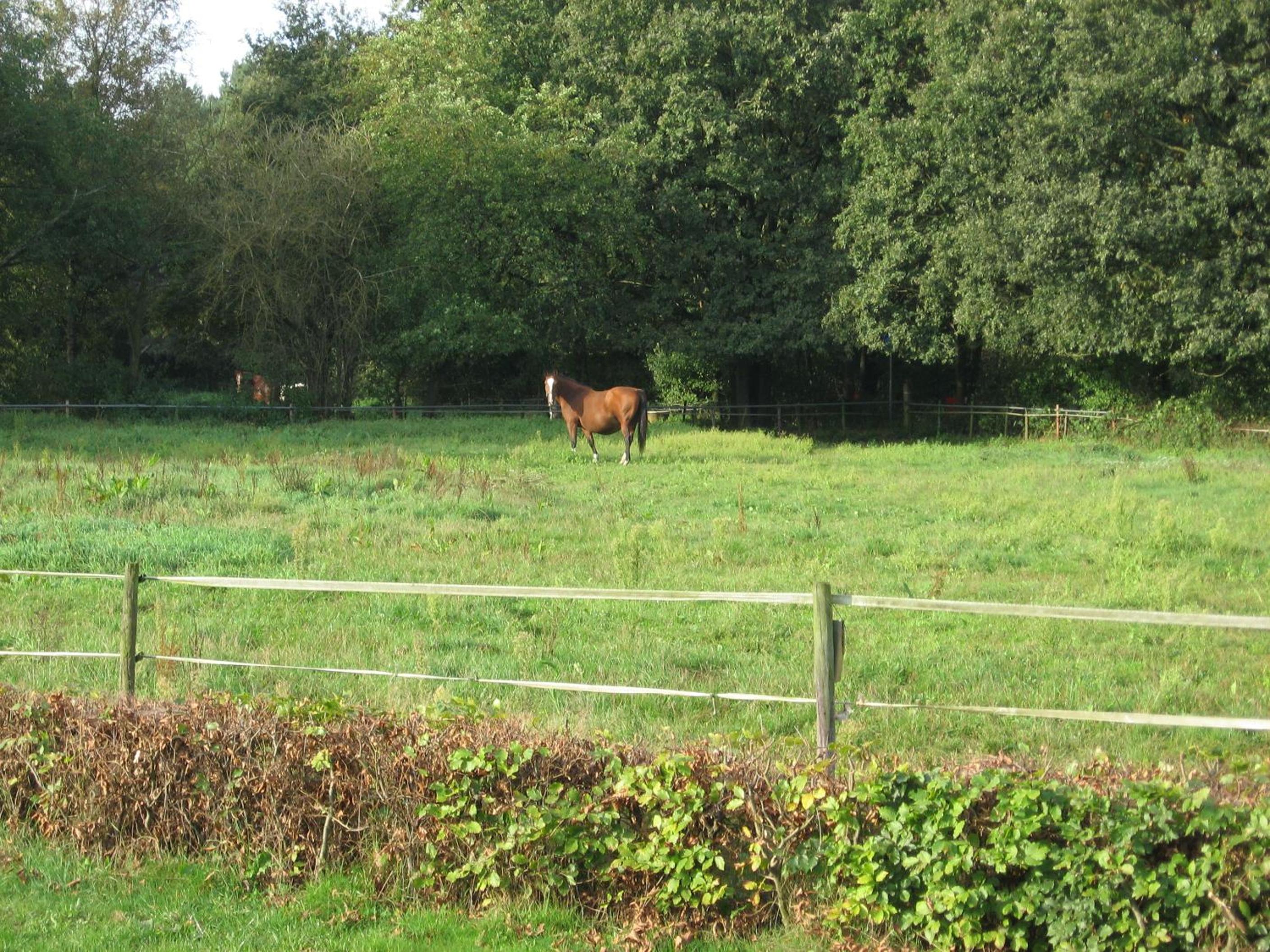 Rustpunt Groote Heide