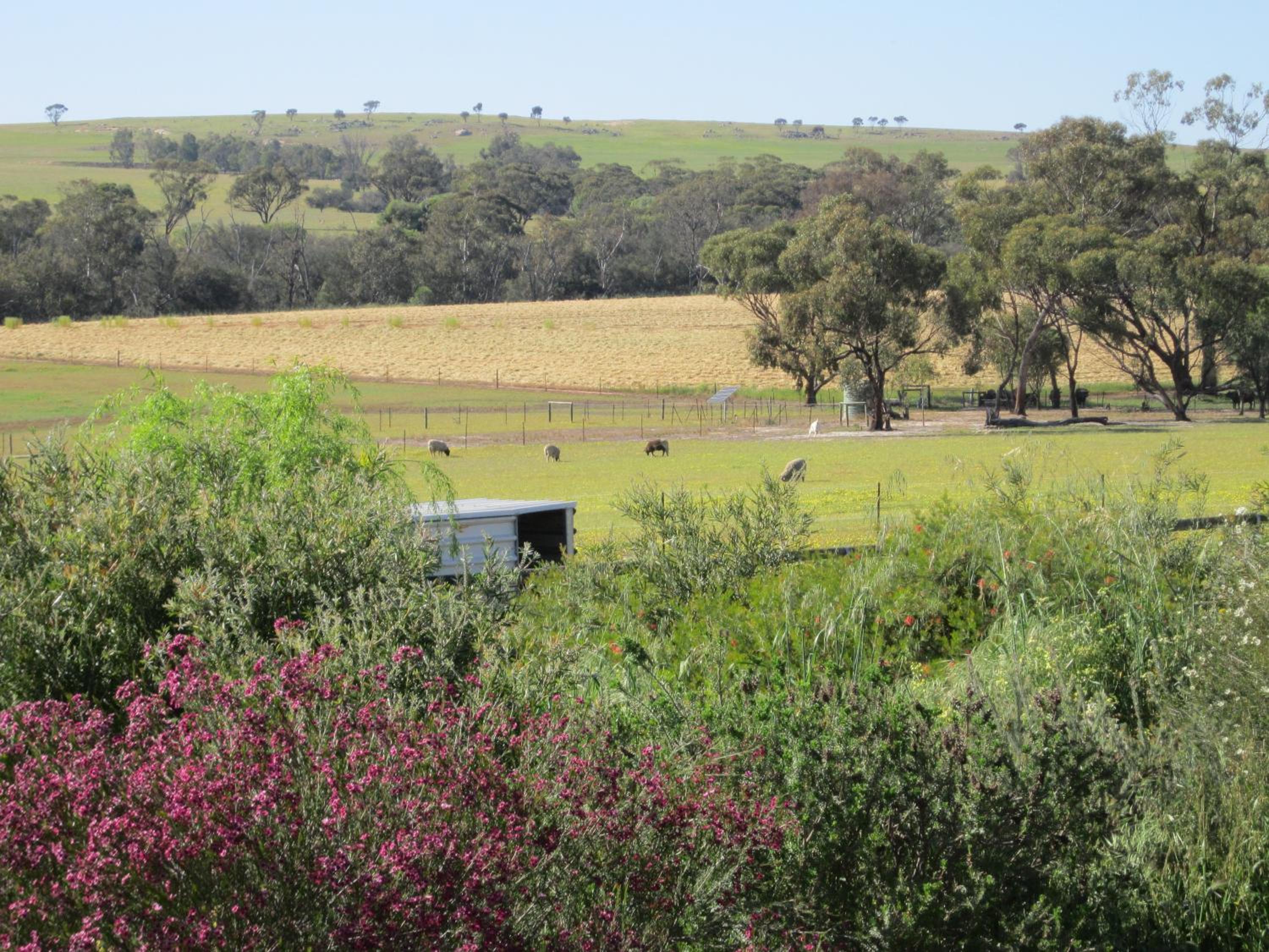 Lavendale Country Retreat