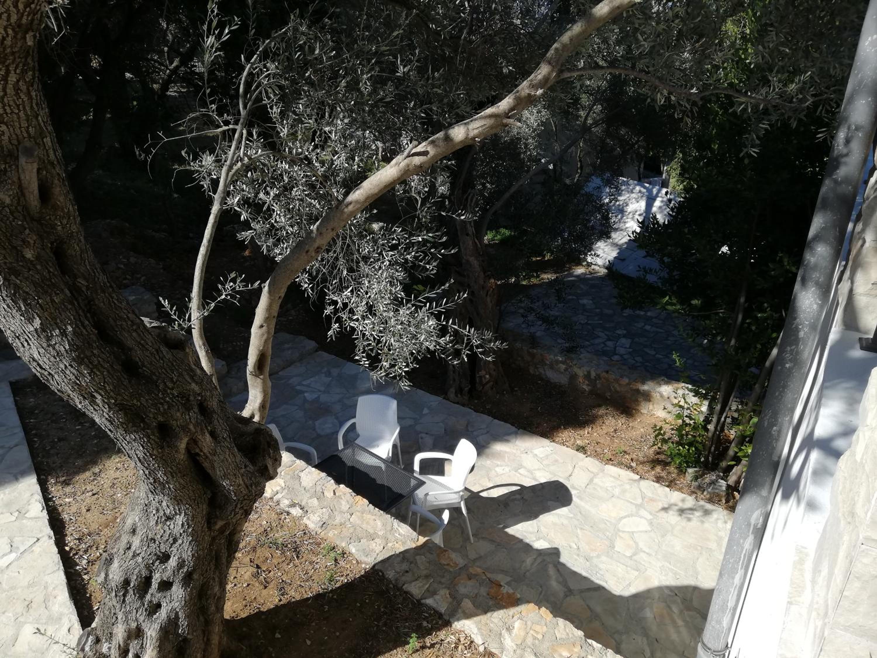Photo 44