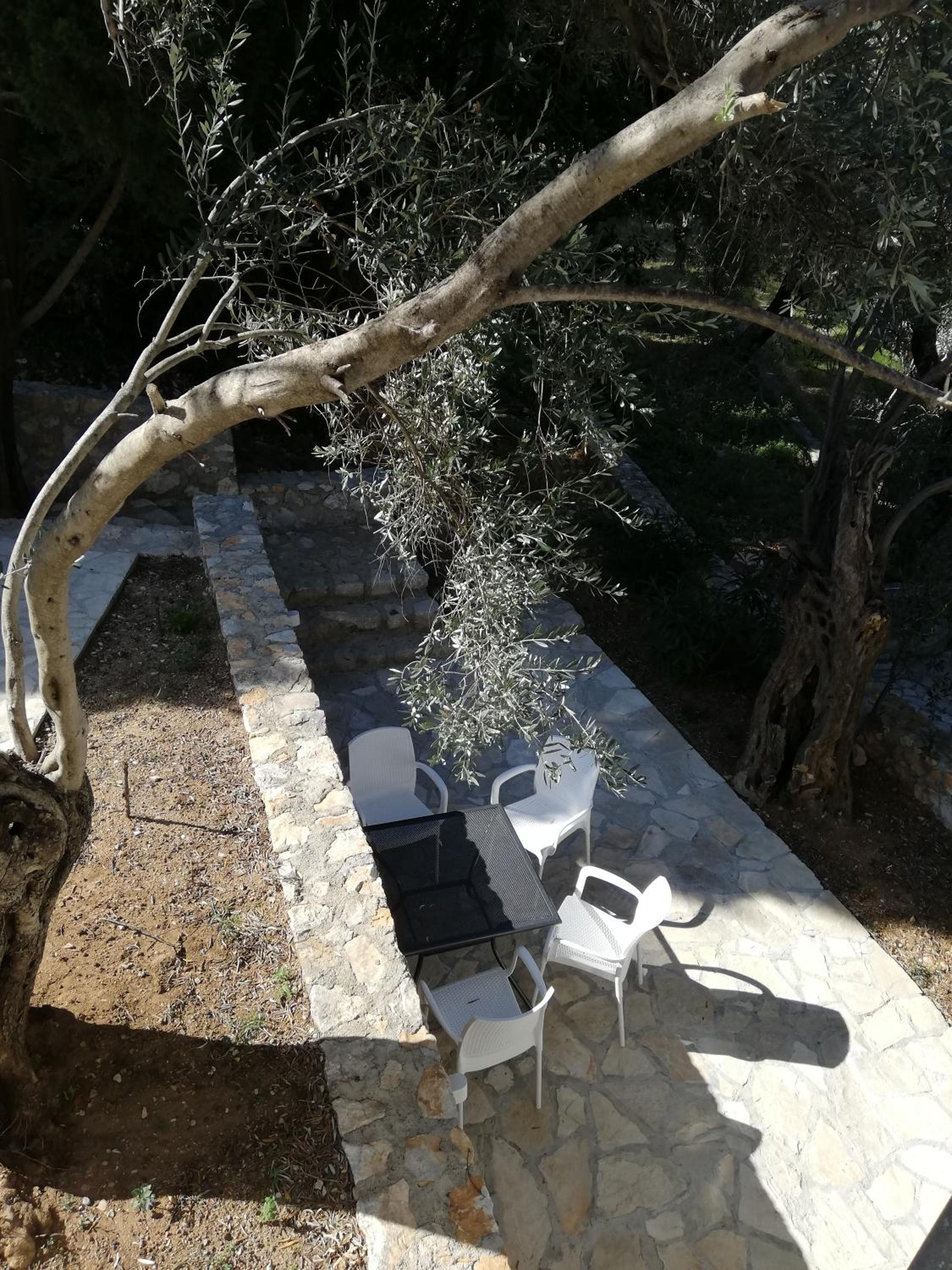 Photo 46