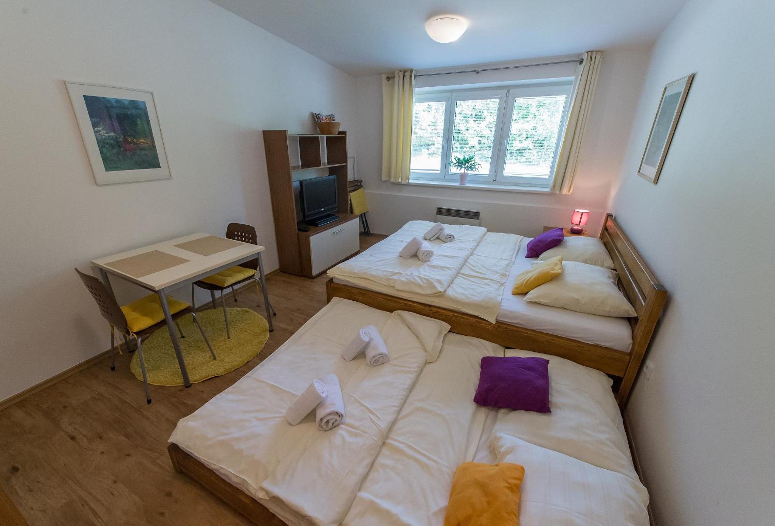 Apartmán Lipno 20