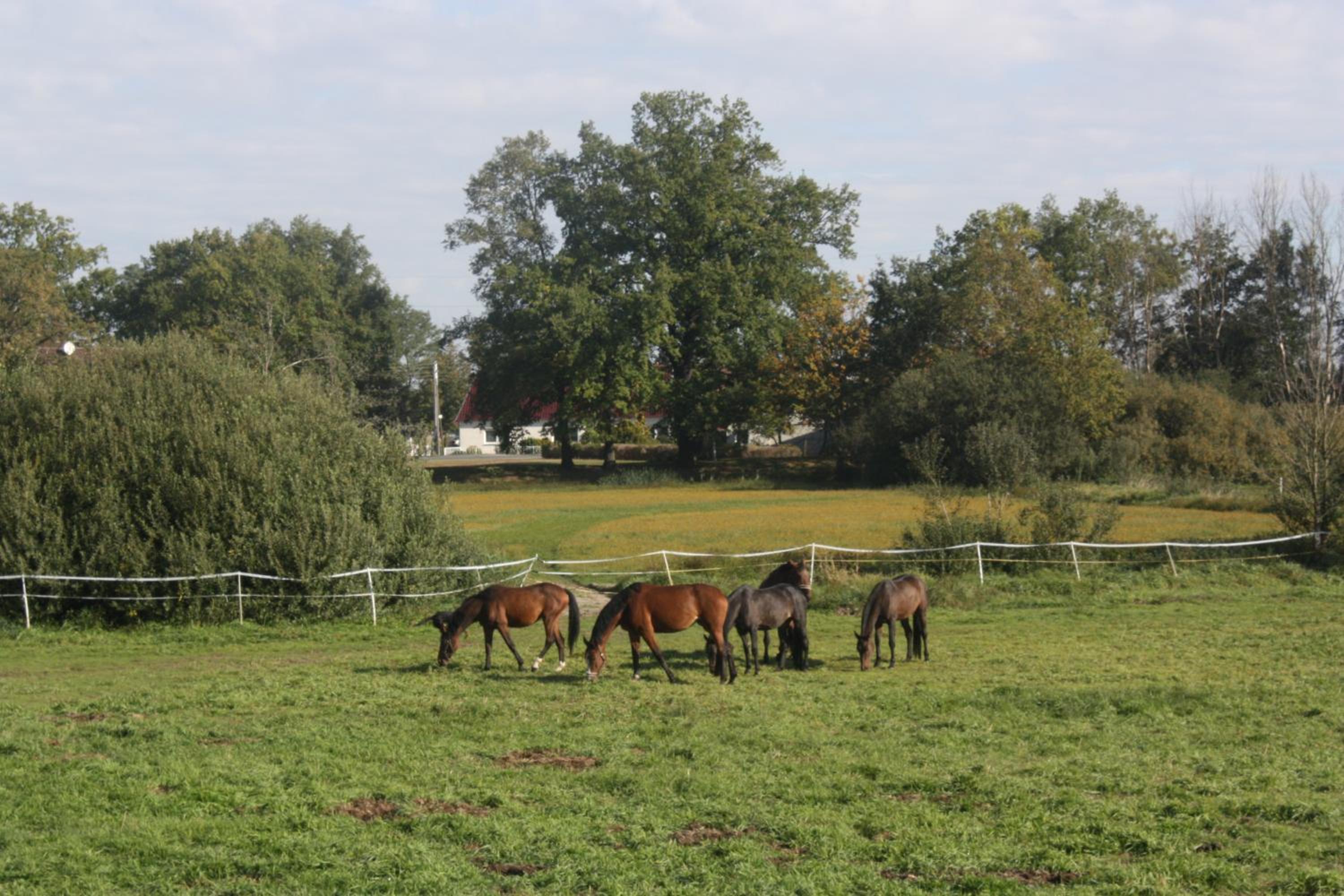 Gutshof Zum Adlernest