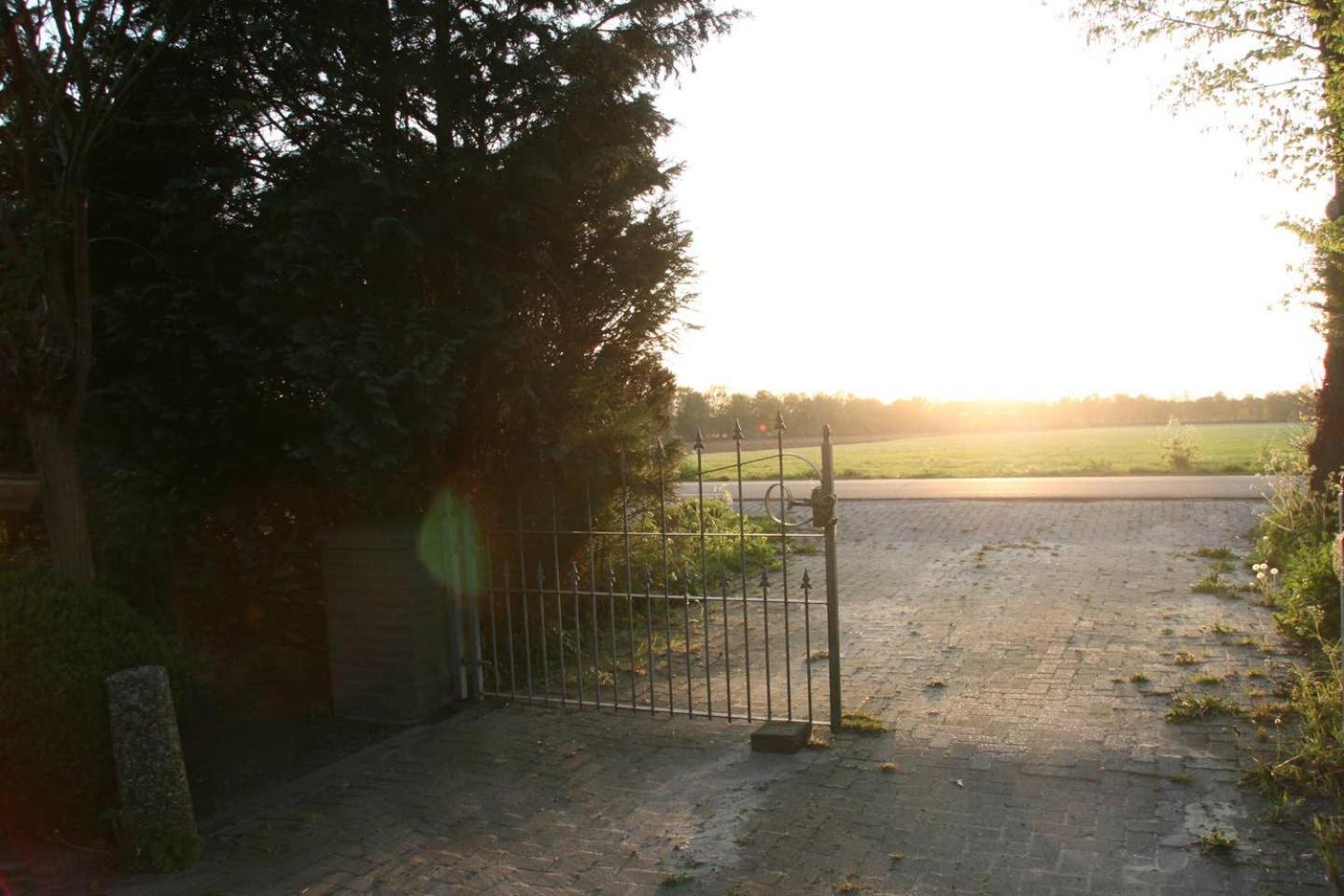 Photo 42
