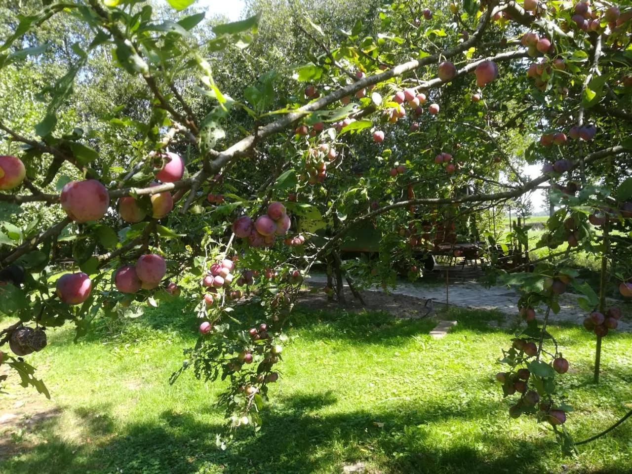 Photo 27