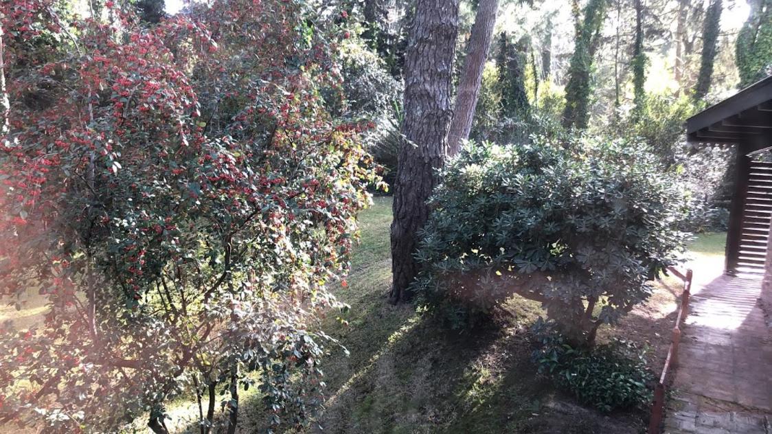 La Bumbuna,Carilo Departamentos Amoblados