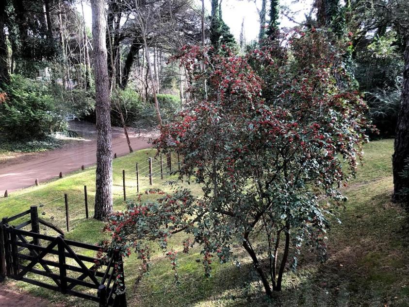 La Bumbuna,Carilo Departamentos Amoblados