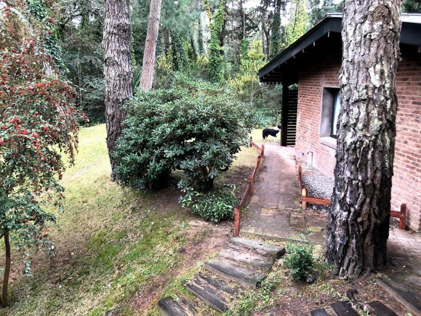 La Bumbuna,Carilo Departamentos Amoblados
