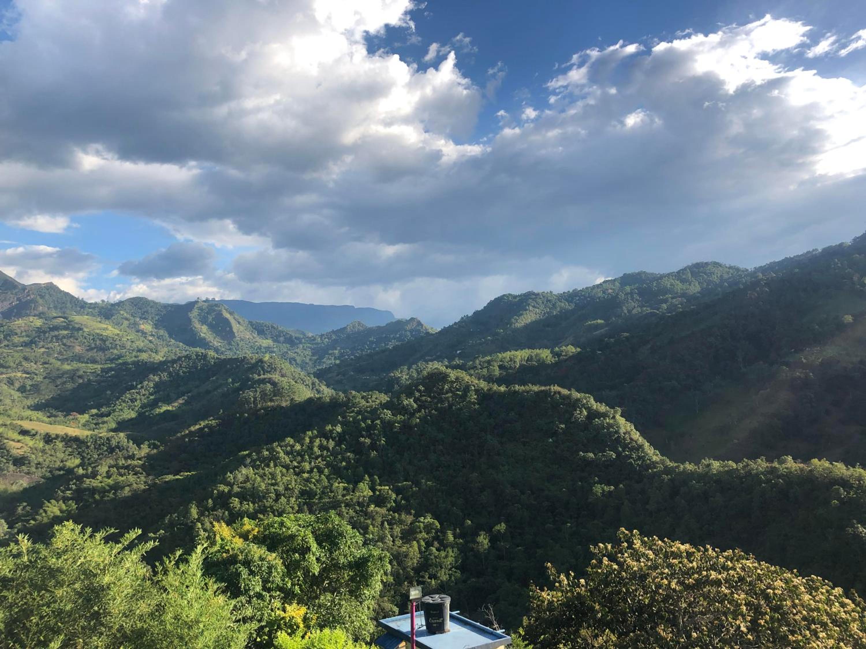 finca Las Margaritas