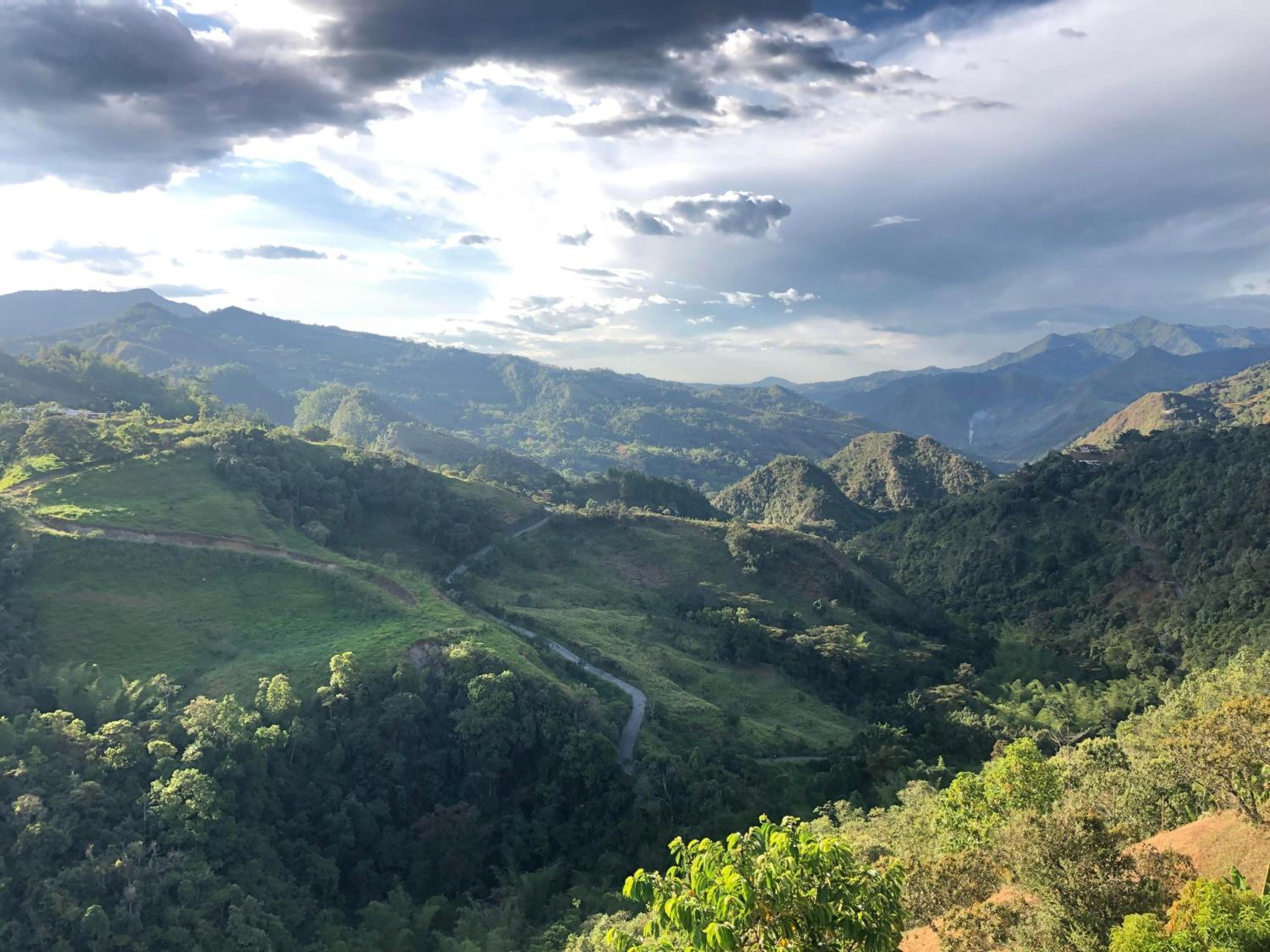 finca Las Margaritas