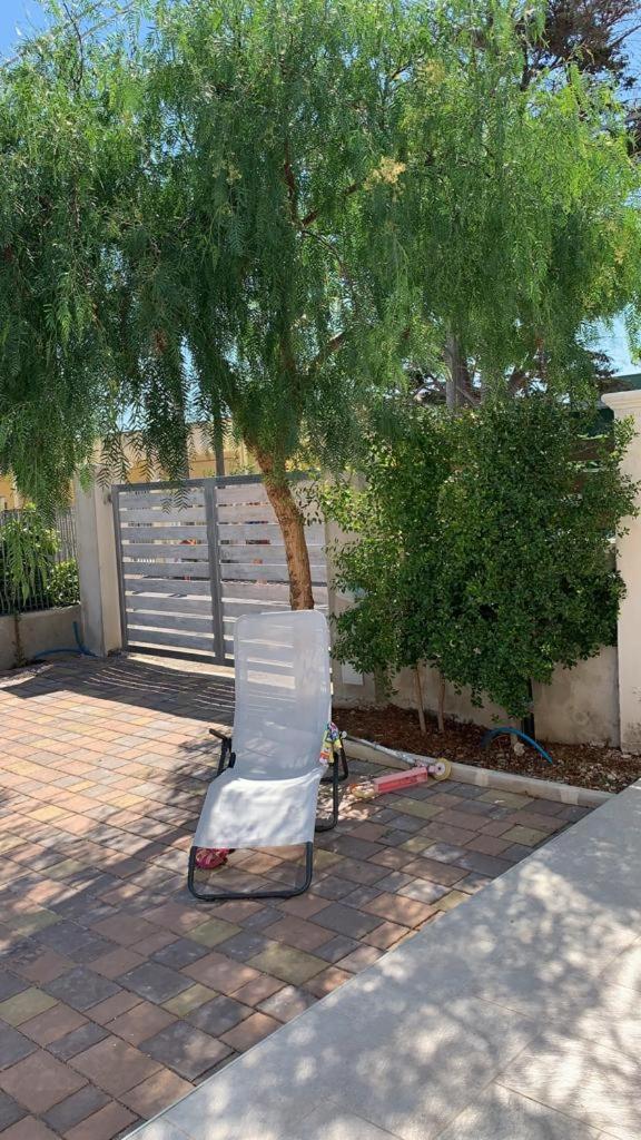 Il Fenicottero photo 2