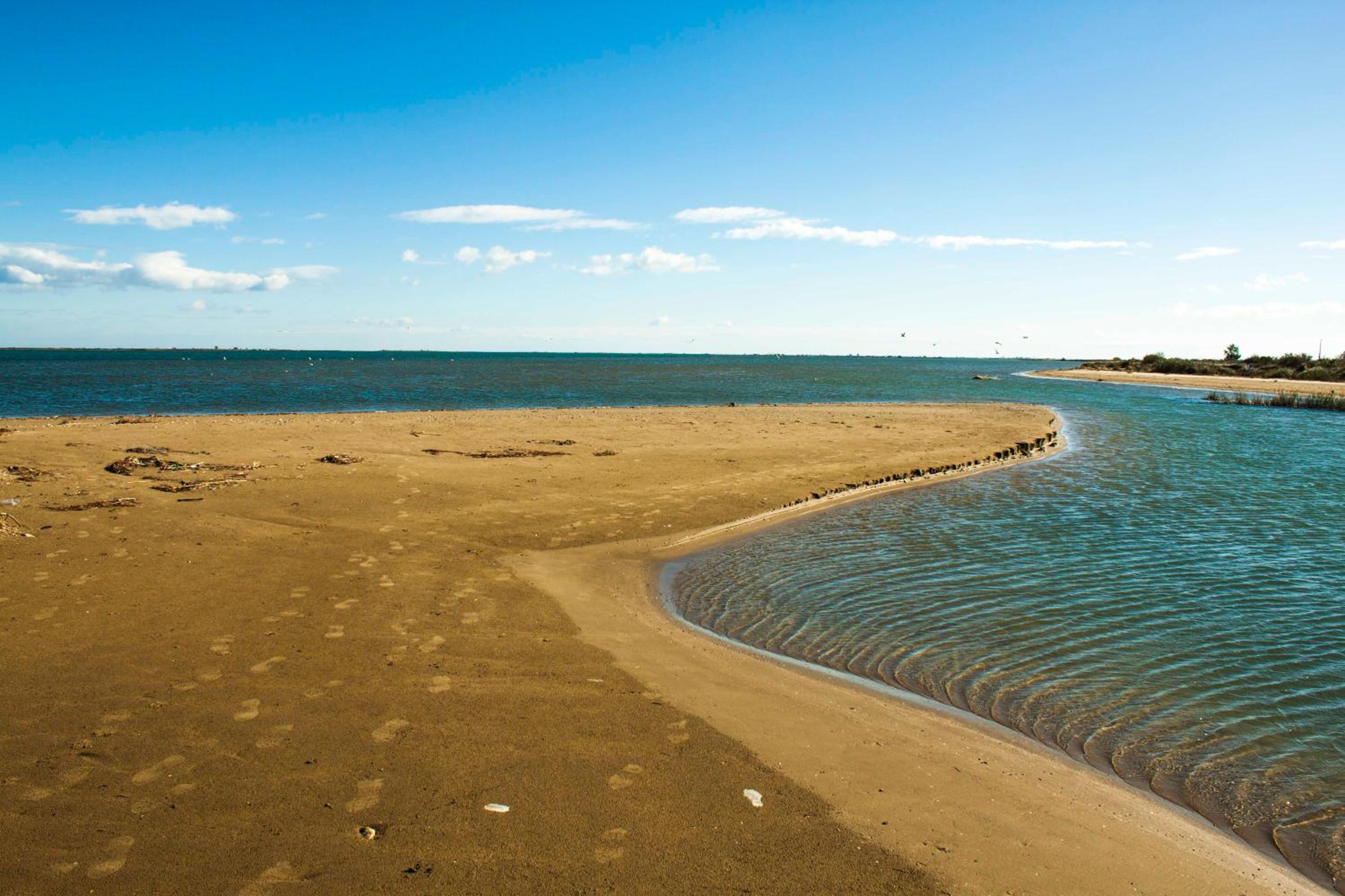 Alojamiento vacacional en el Delta del Ebro view 3