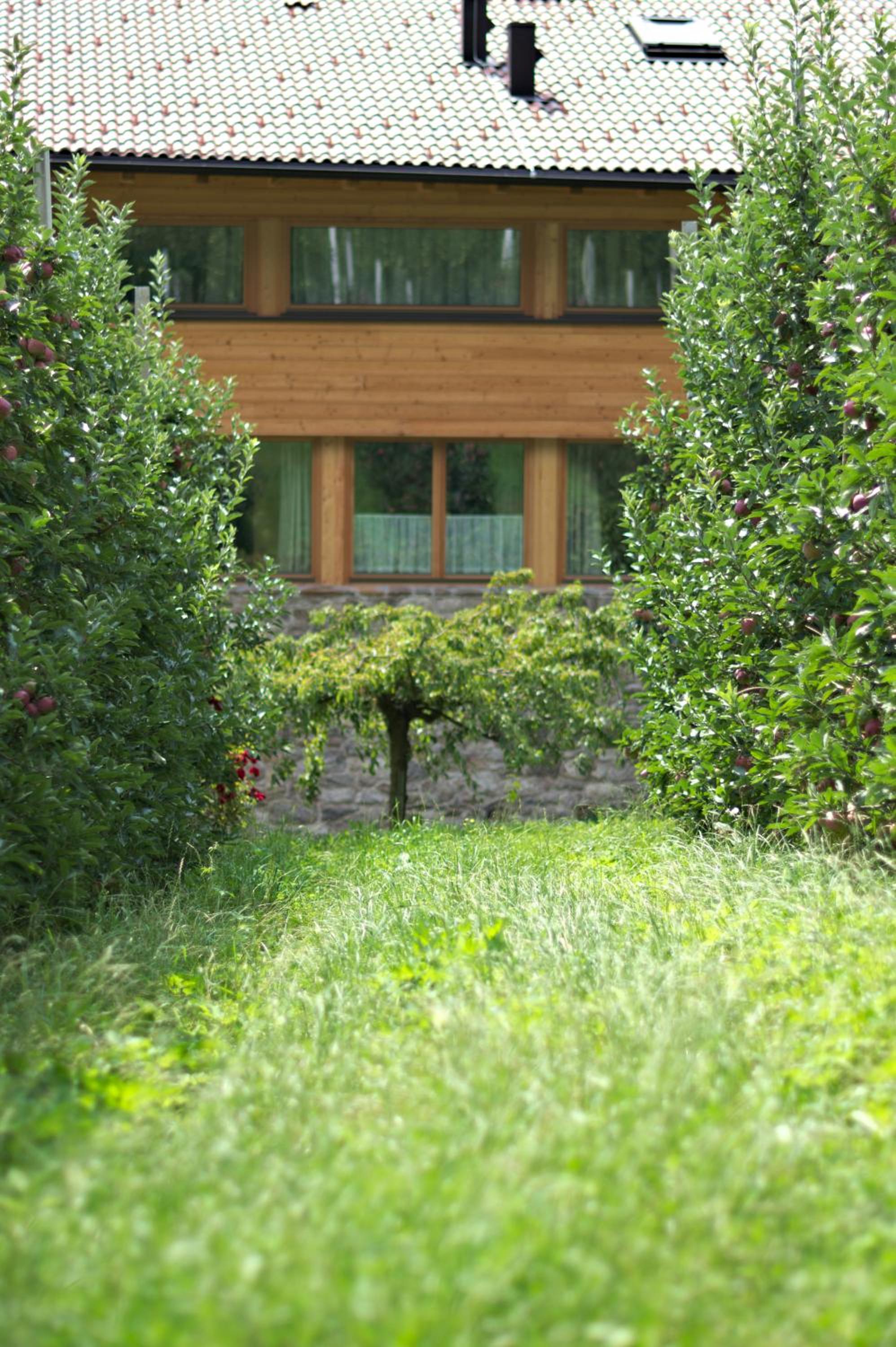 Photo 42