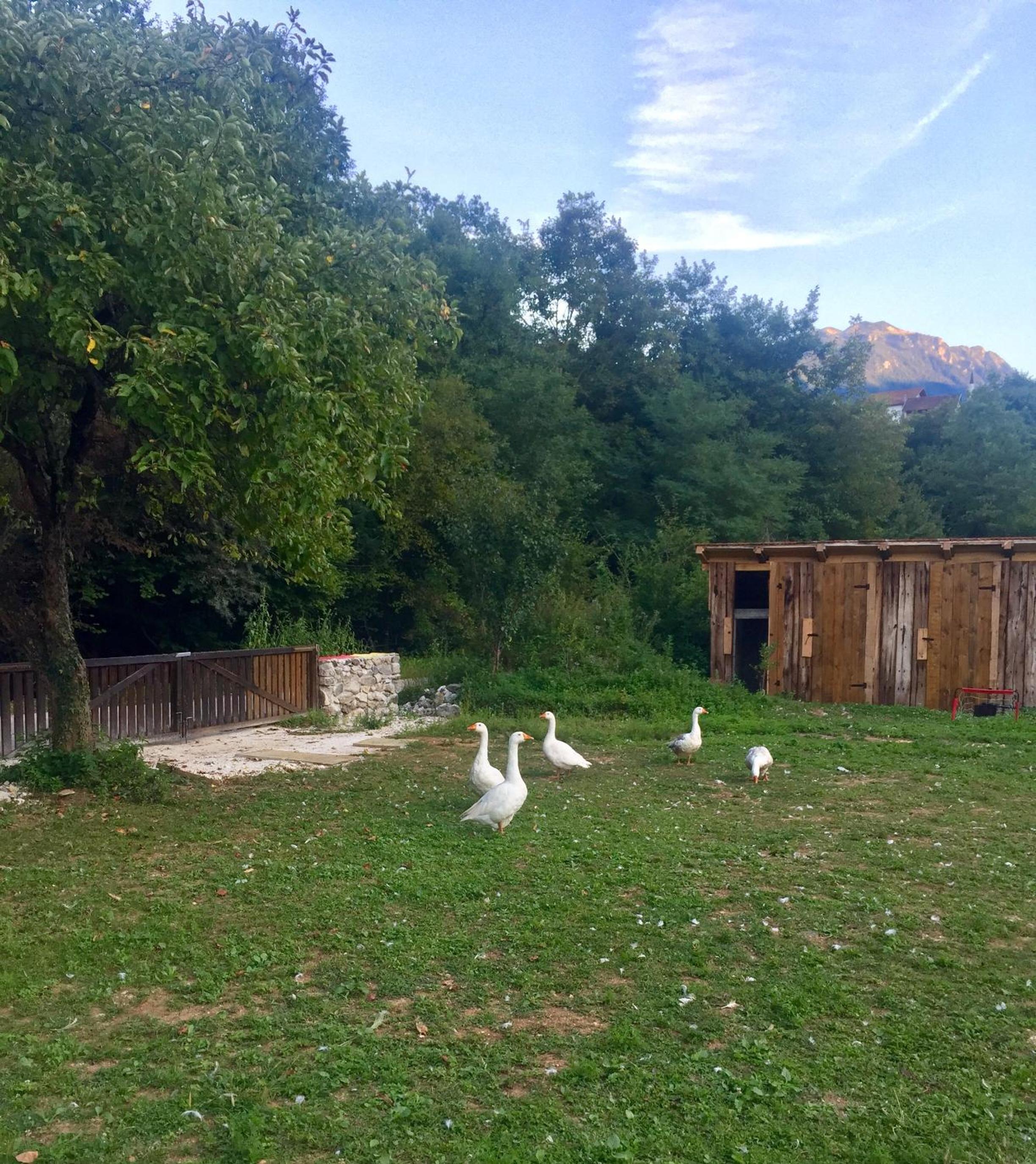 Etno House Stari mlin