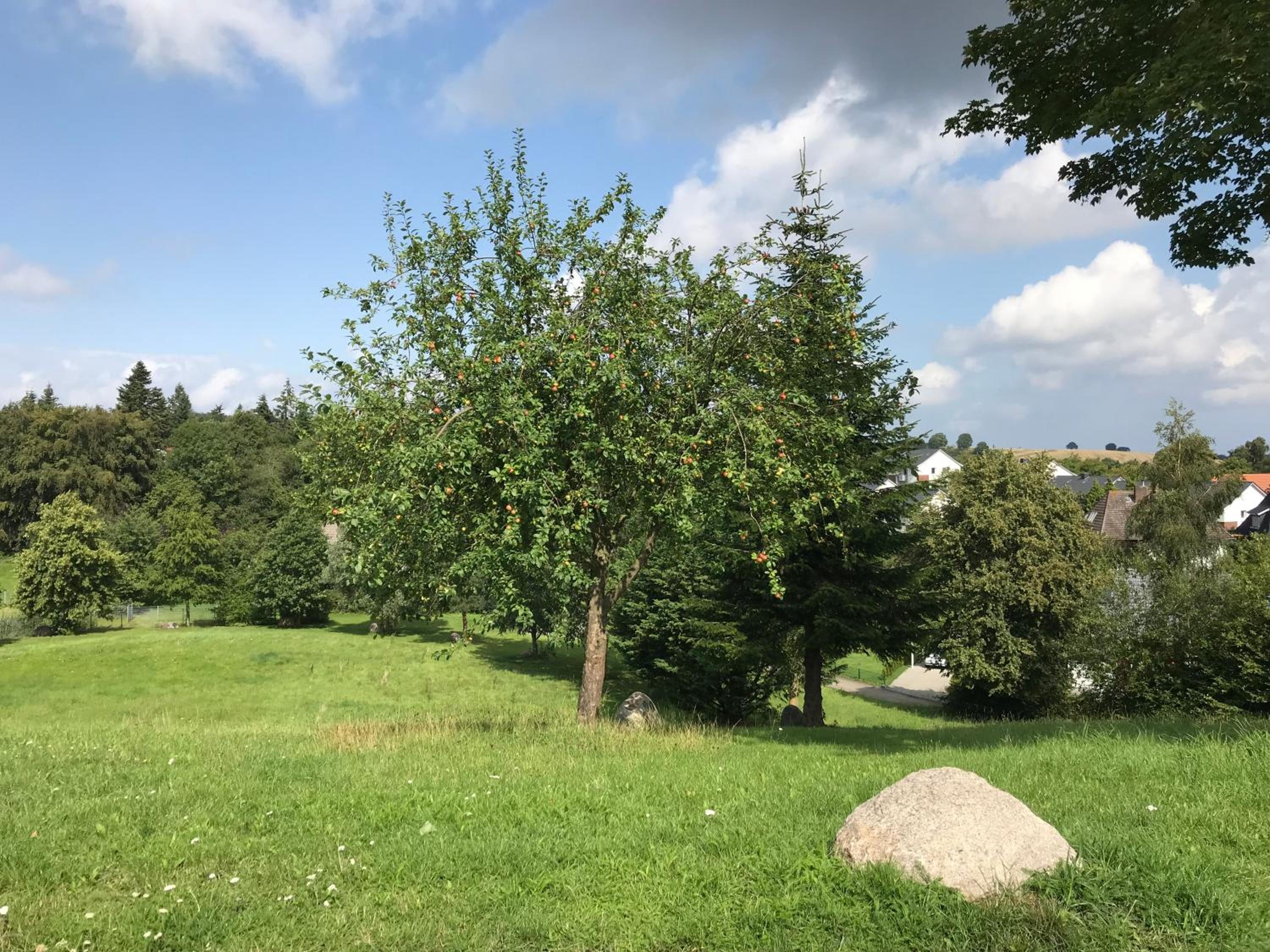 Ferienhaus Vogelberg
