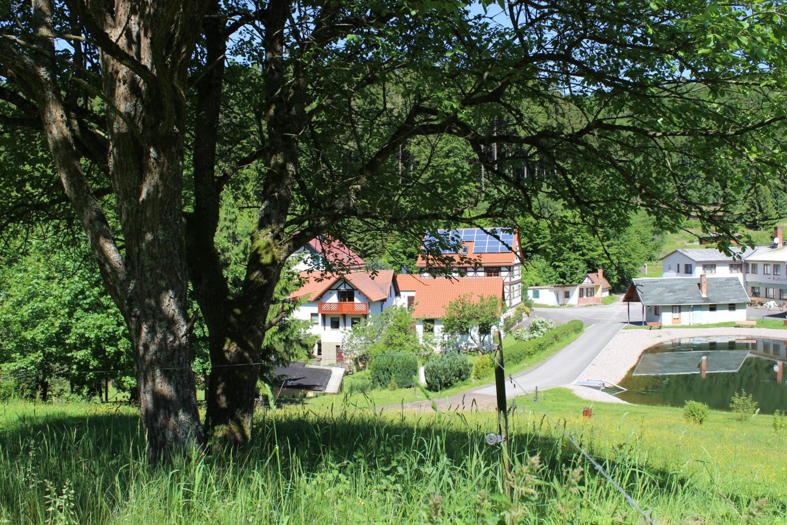 Ferienwohnung Nüssleshof view 4