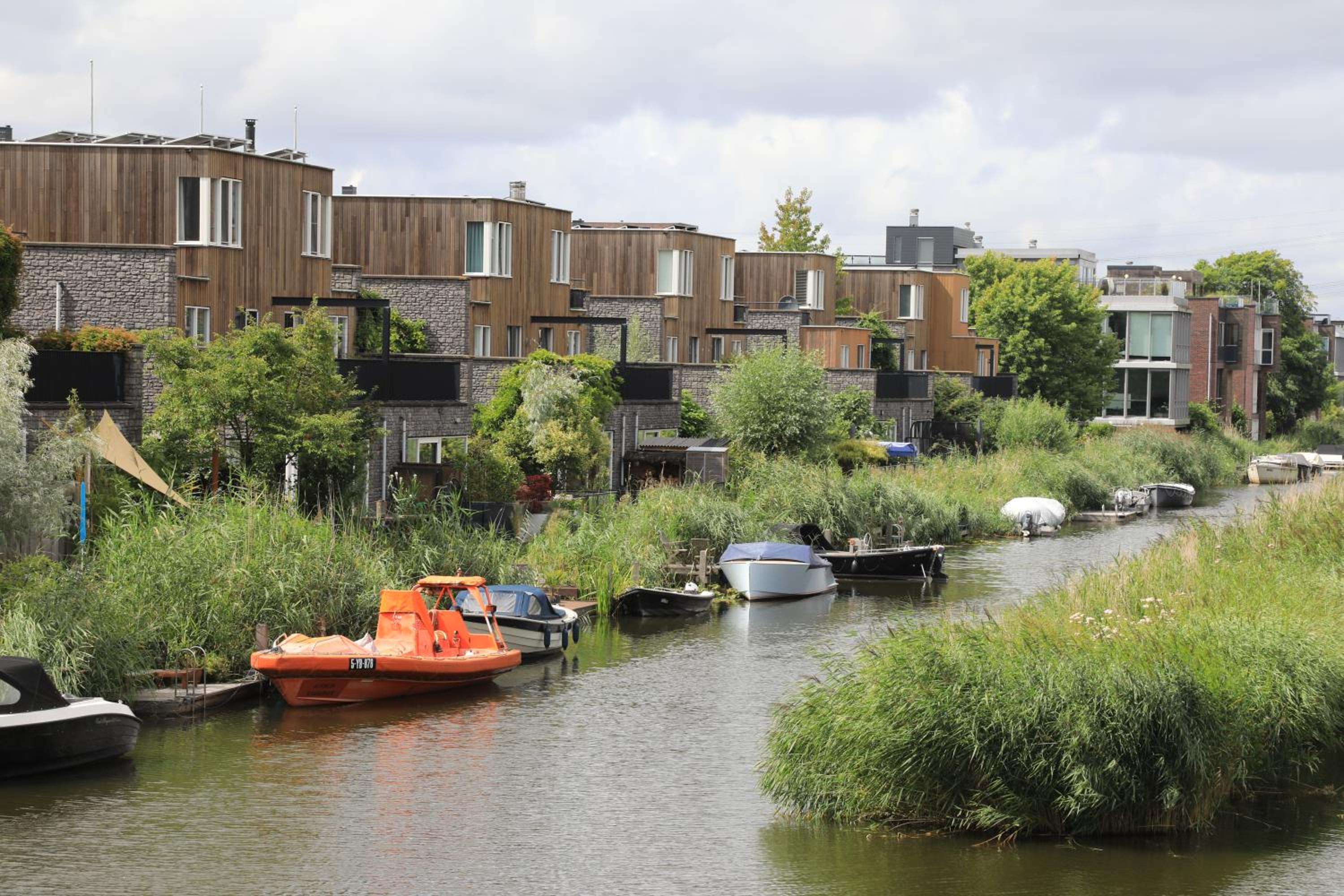 B&B De Zwanebloem photo 4