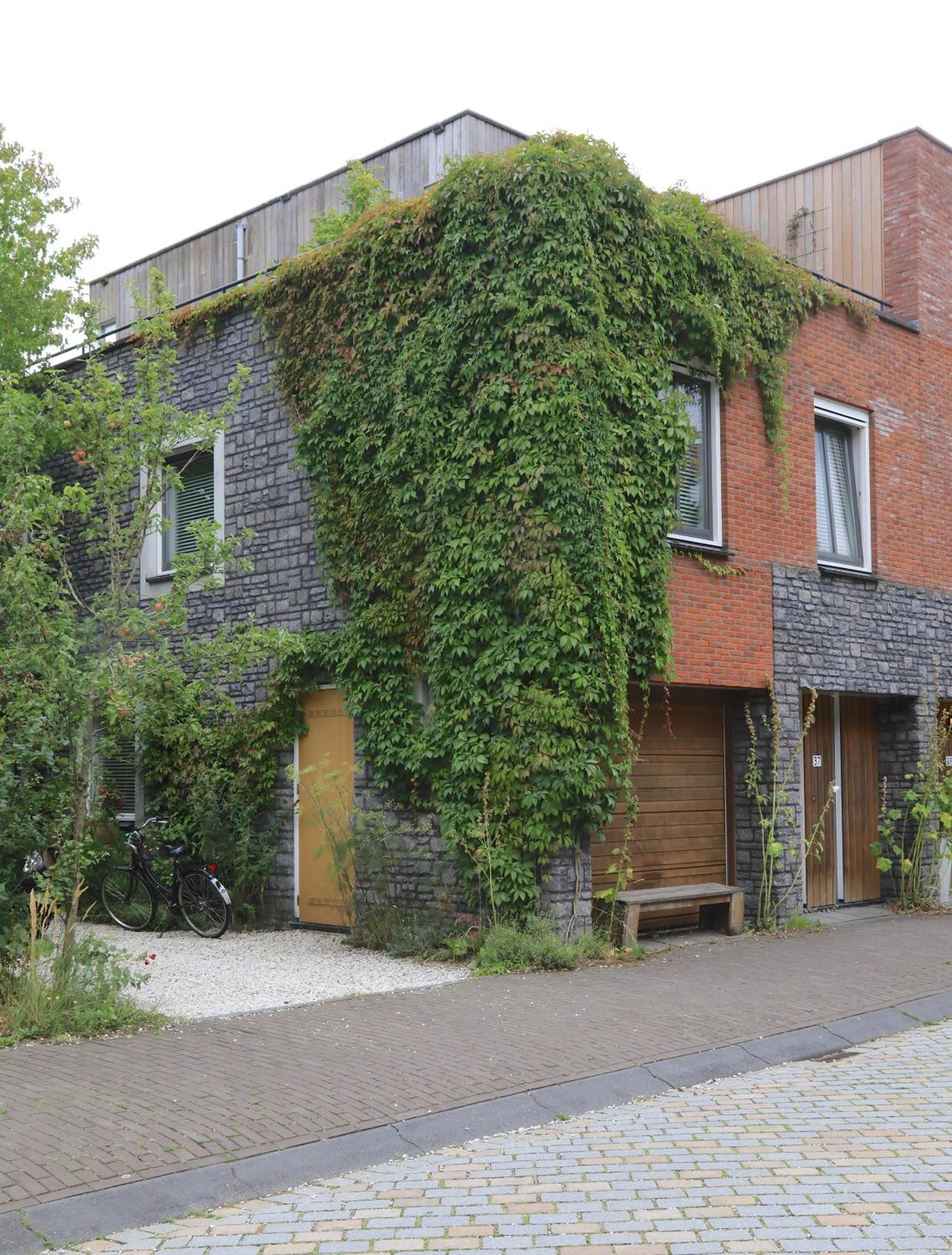 B&B De Zwanebloem photo 3