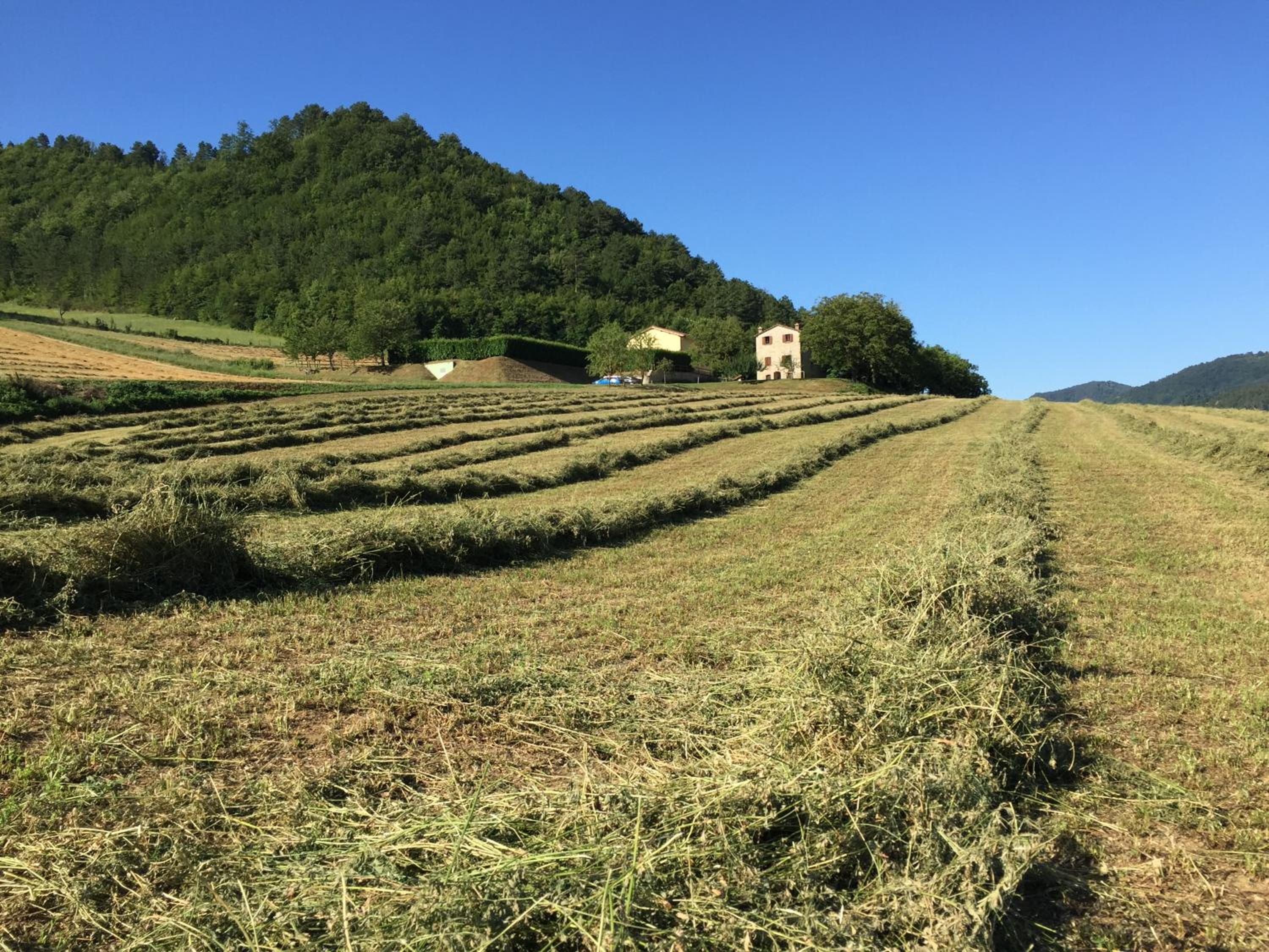 Agriturismo Popolano Di Sotto