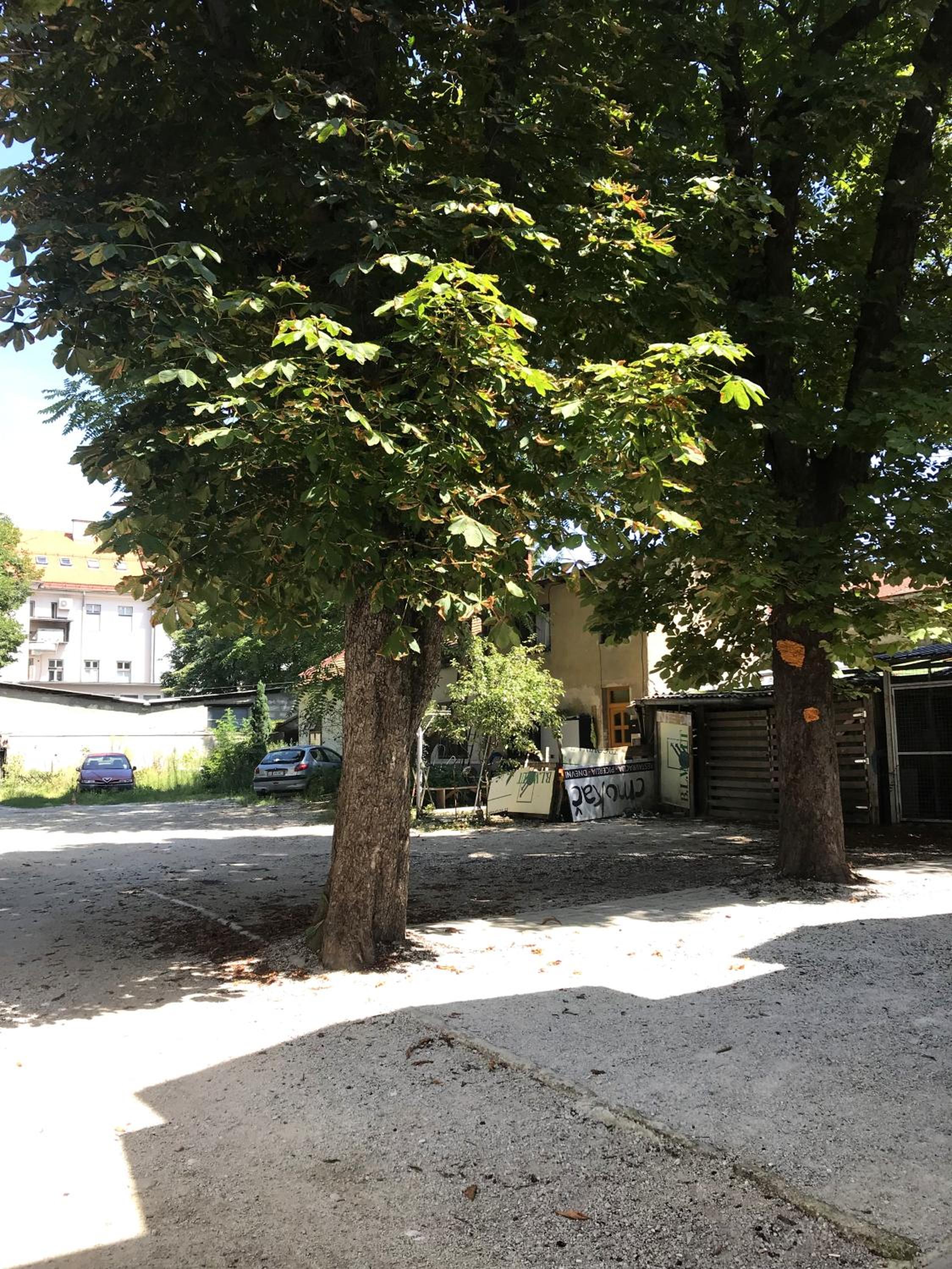 Photo 27