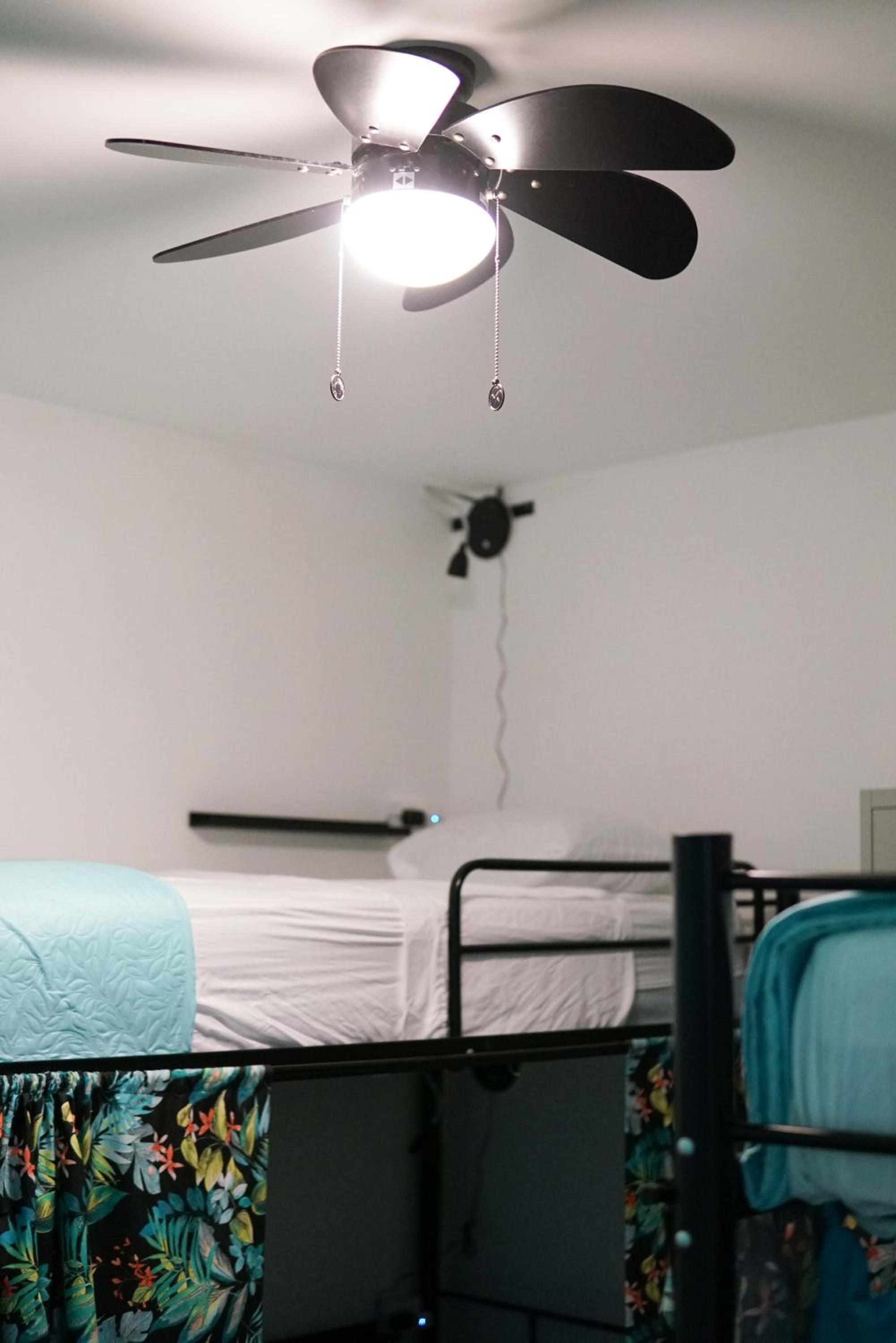 NATIVUS Art-Hostel - Property Image 19