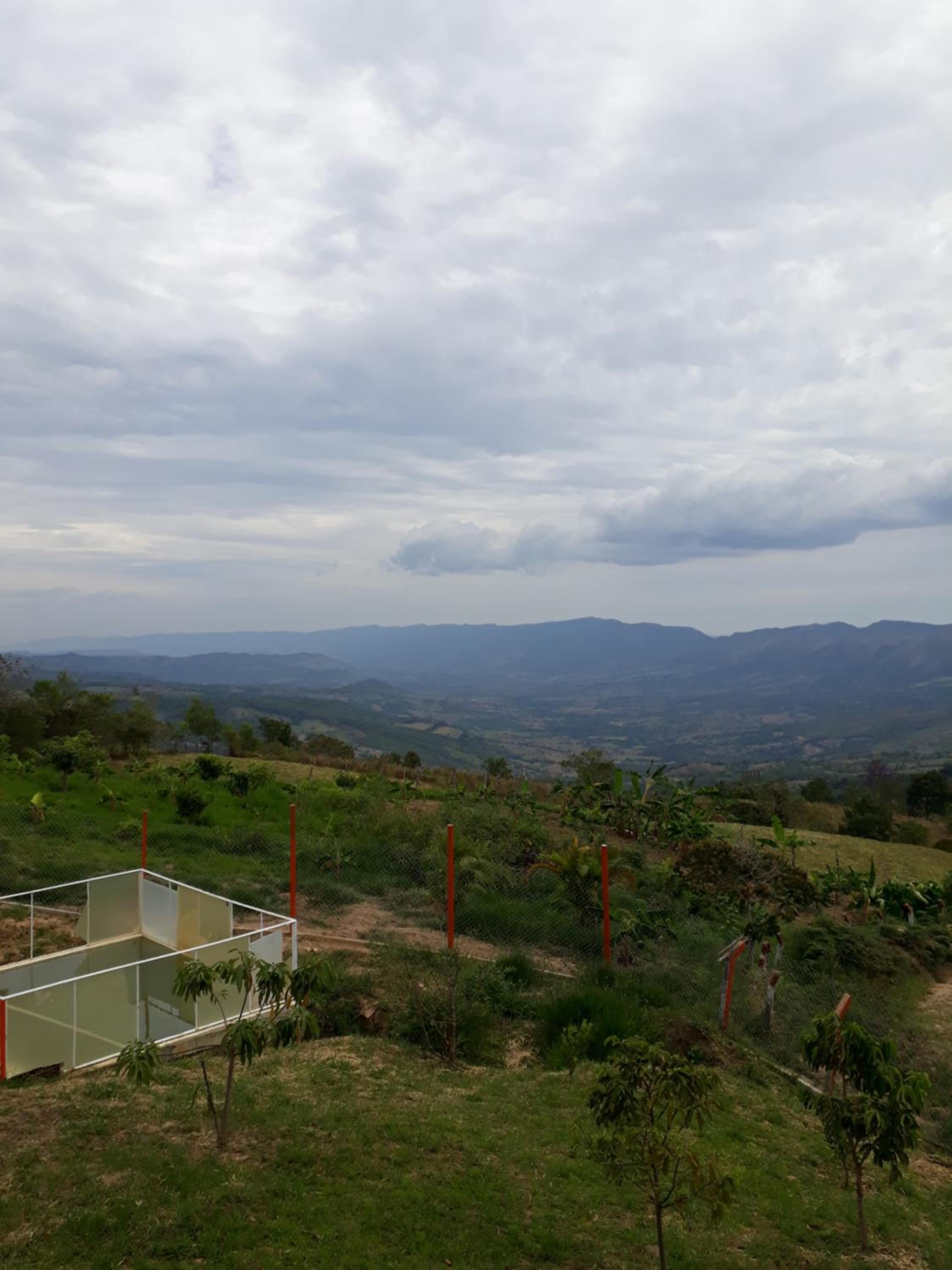 Rancho Ocampo finca