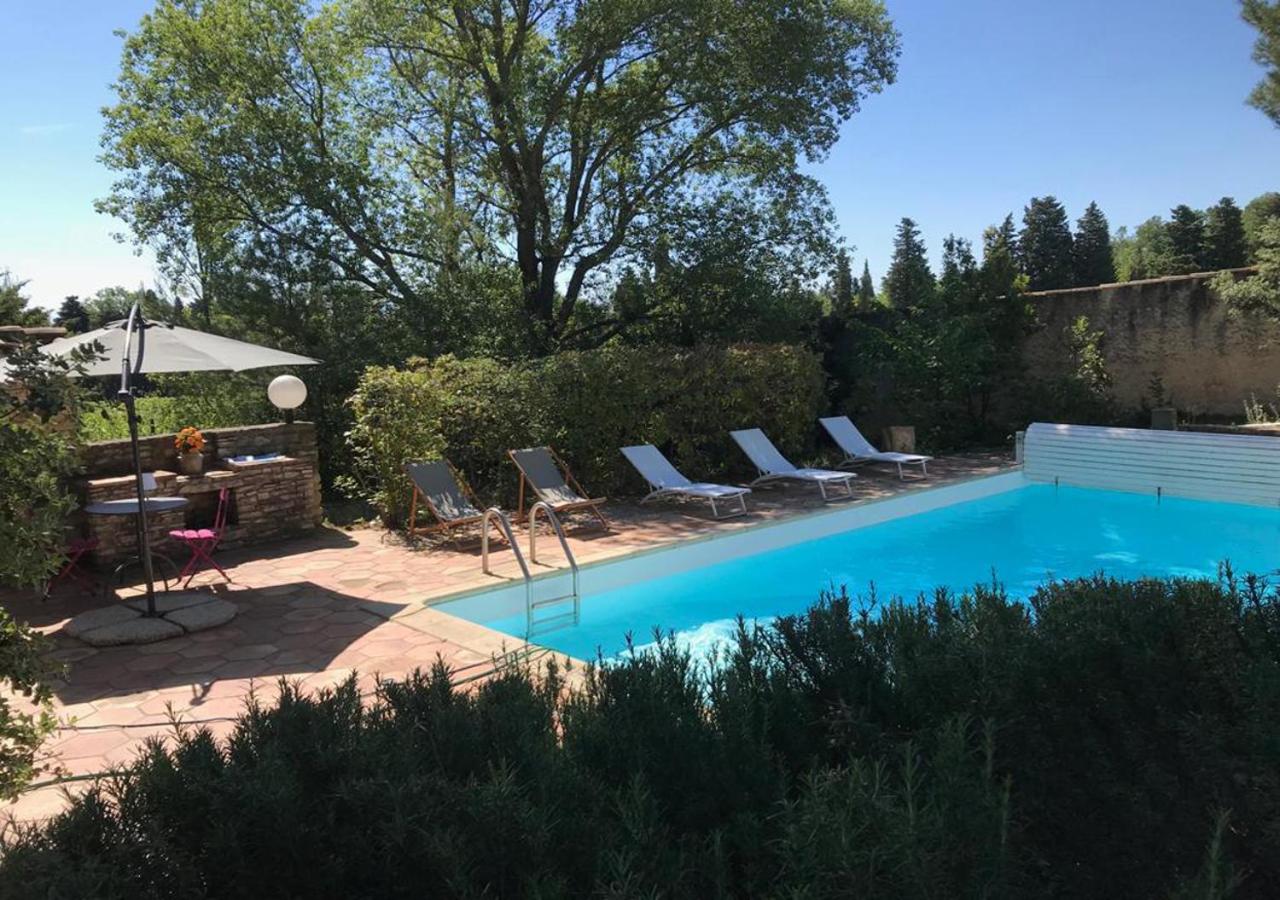 Au Coeur des Vignes en Provence — photo 4