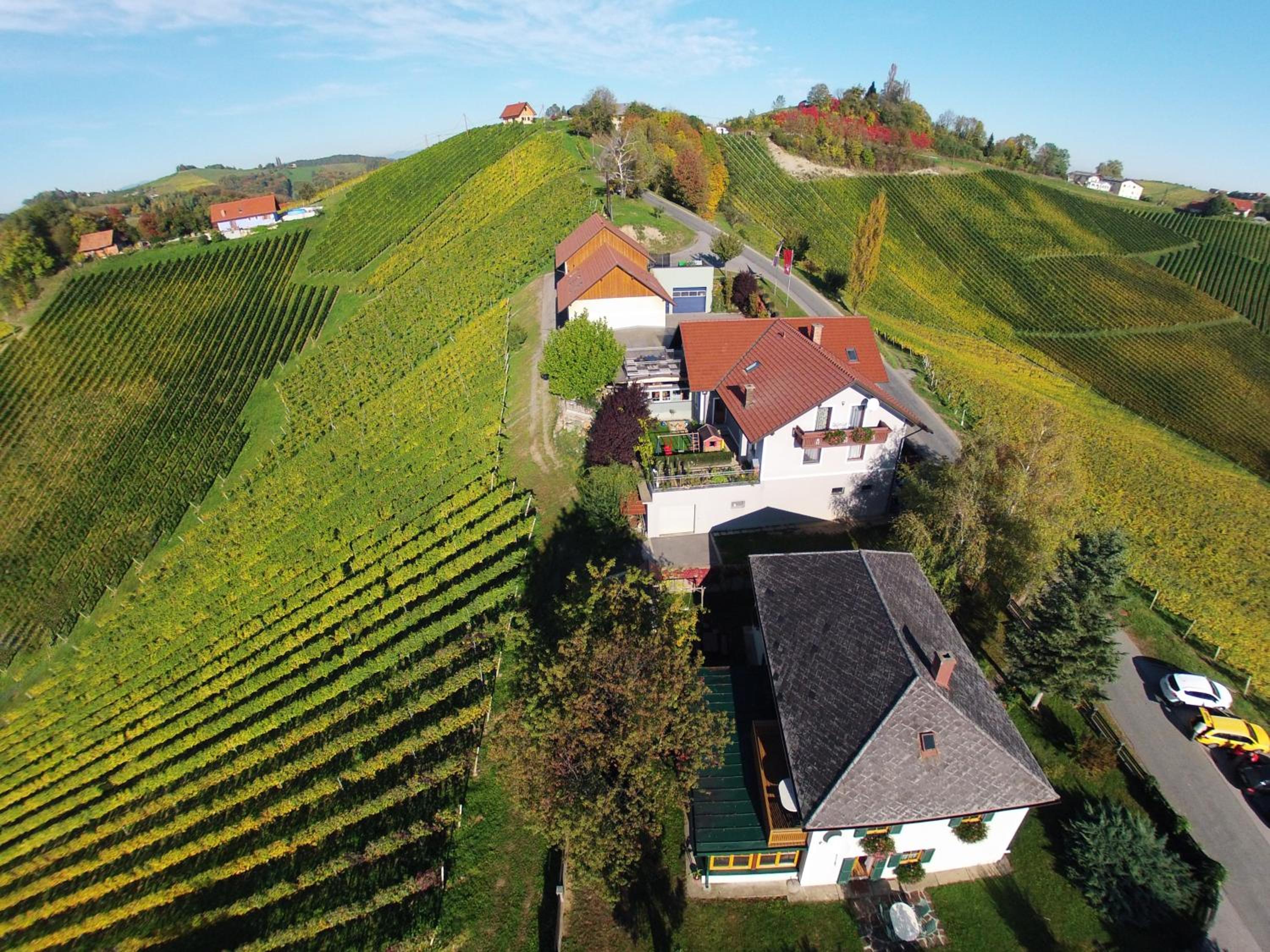 Familienweingut Oberer Germuth