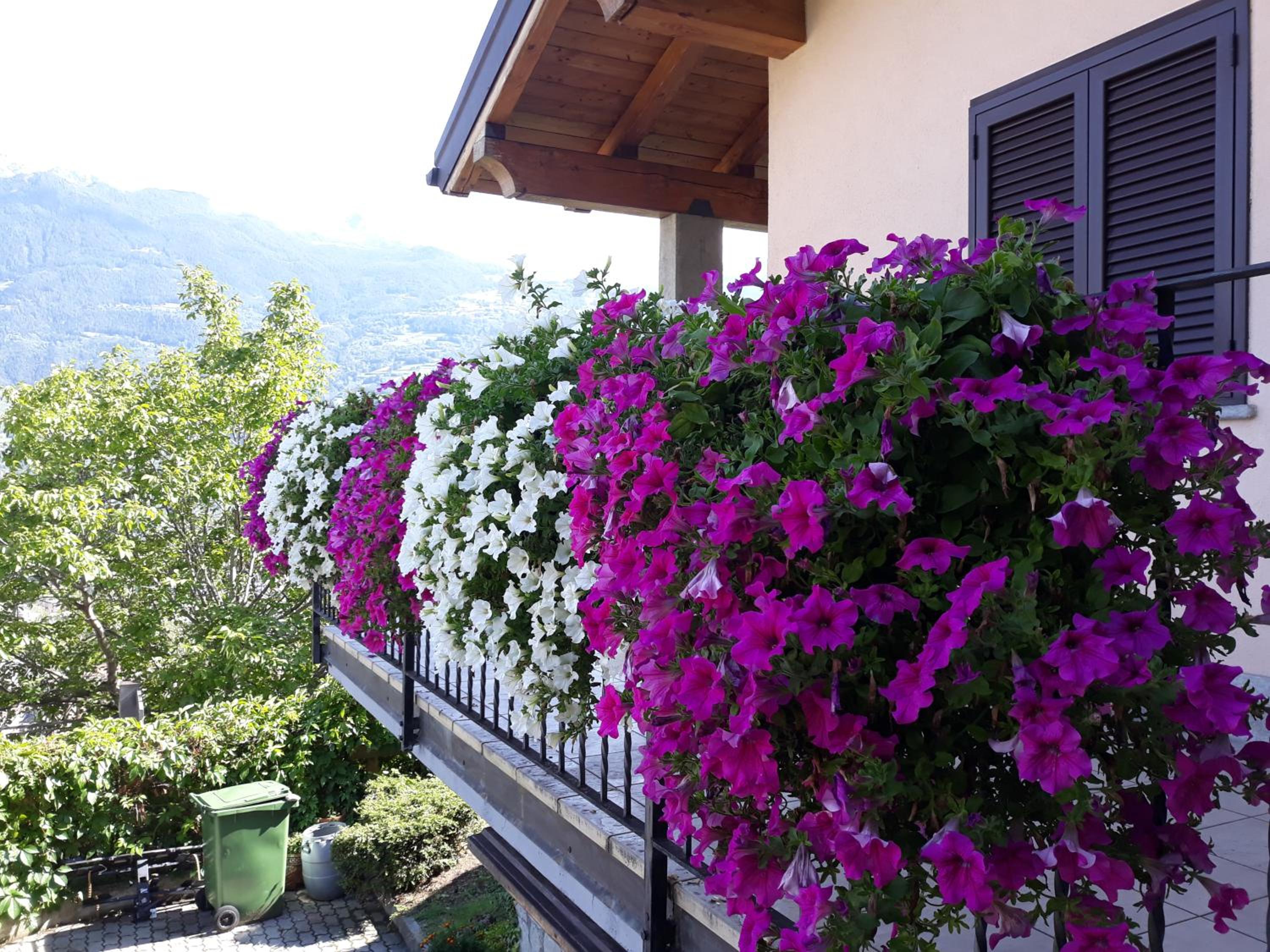 Villetta maison hélène CIR n 0391 view 2