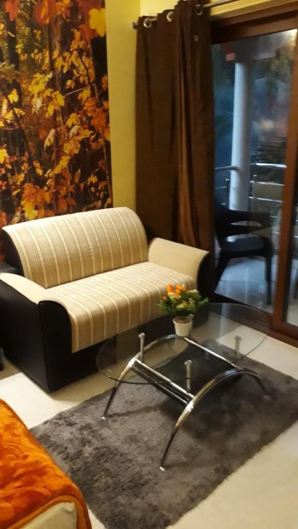C Pearl view 5