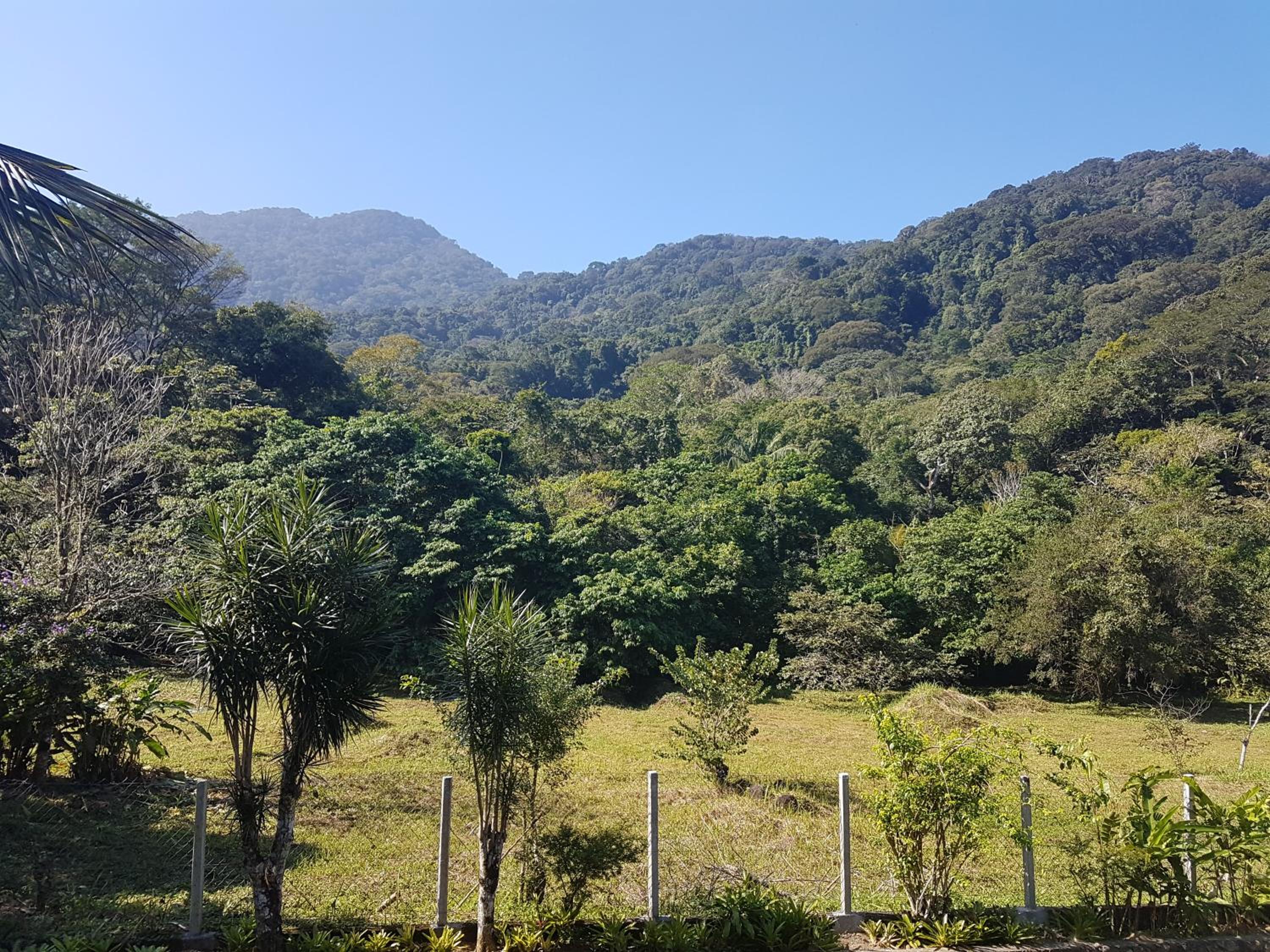 Casa da Josie em Maresias com piscina no pé da Mata Atlântica - 4 quartos