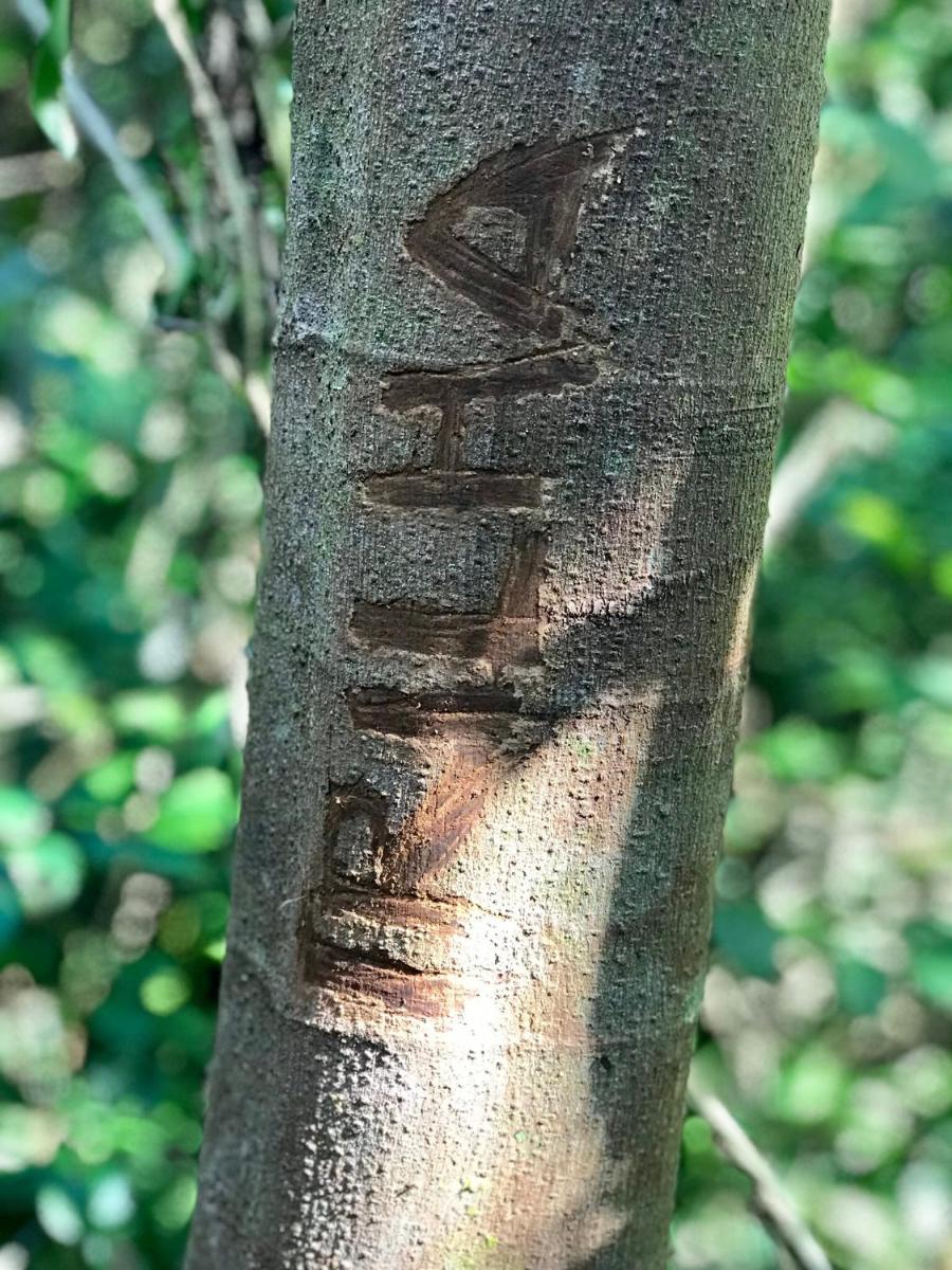 Chalé Bela Vista - Chalés Belo Monte