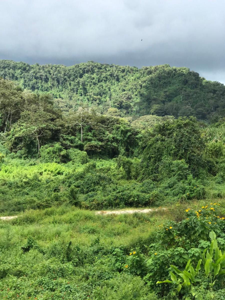 Chalé Bela Vista - Chalés Belo Monte