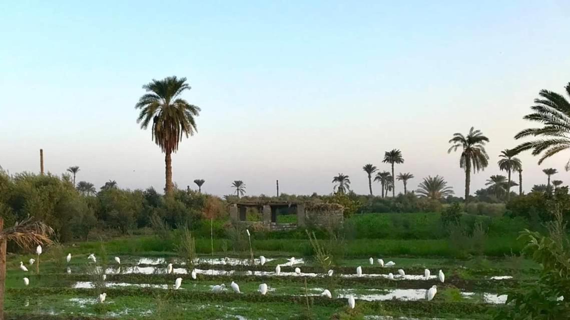 villa tunis village view 3
