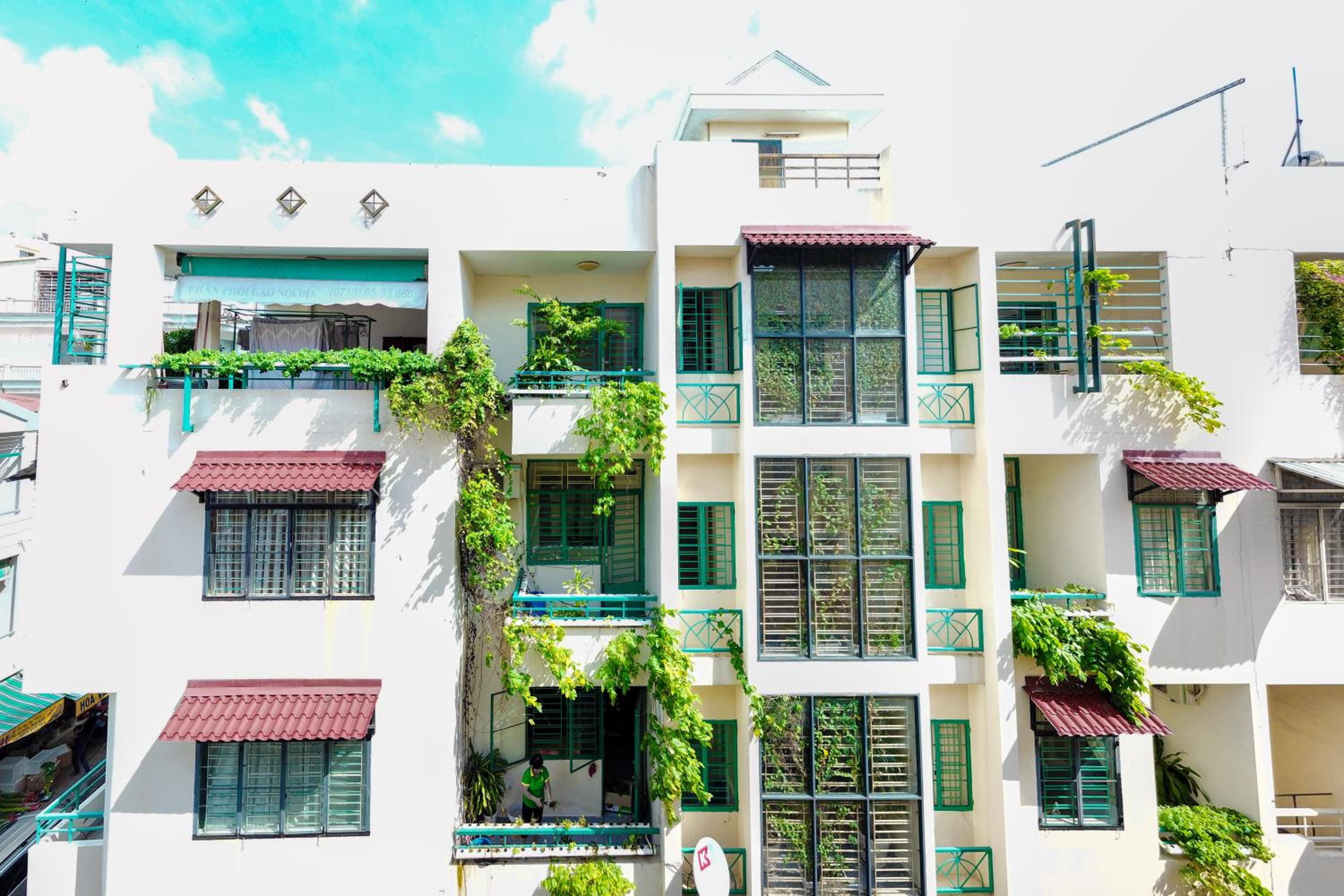 Winter Spring Homestay