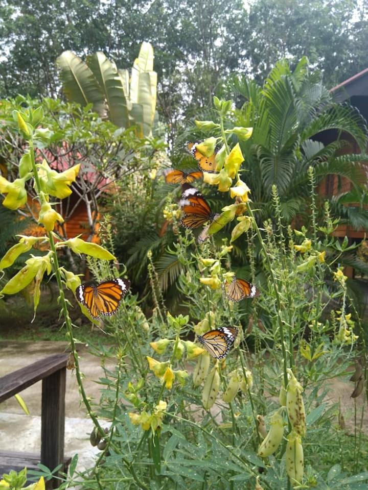 Najjamee Bungalows