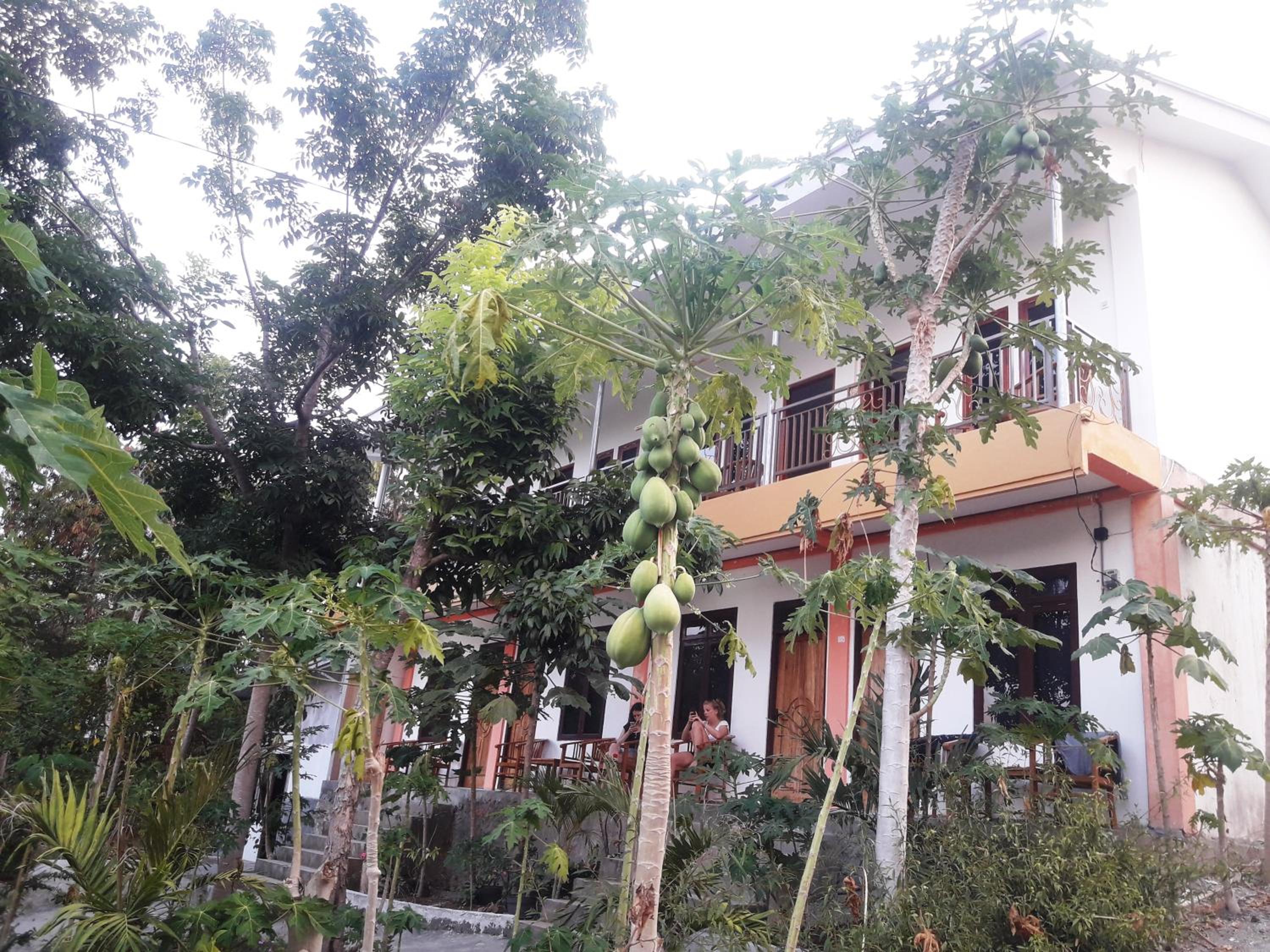 The Teuz B&B view 2