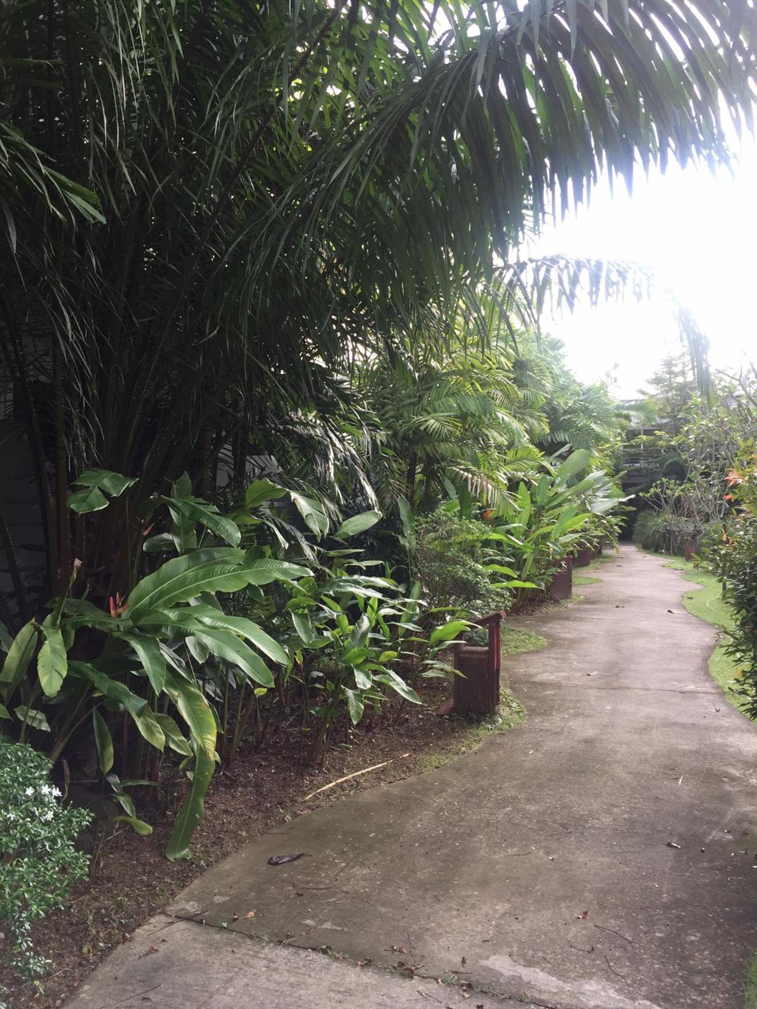 Phukamala Suite