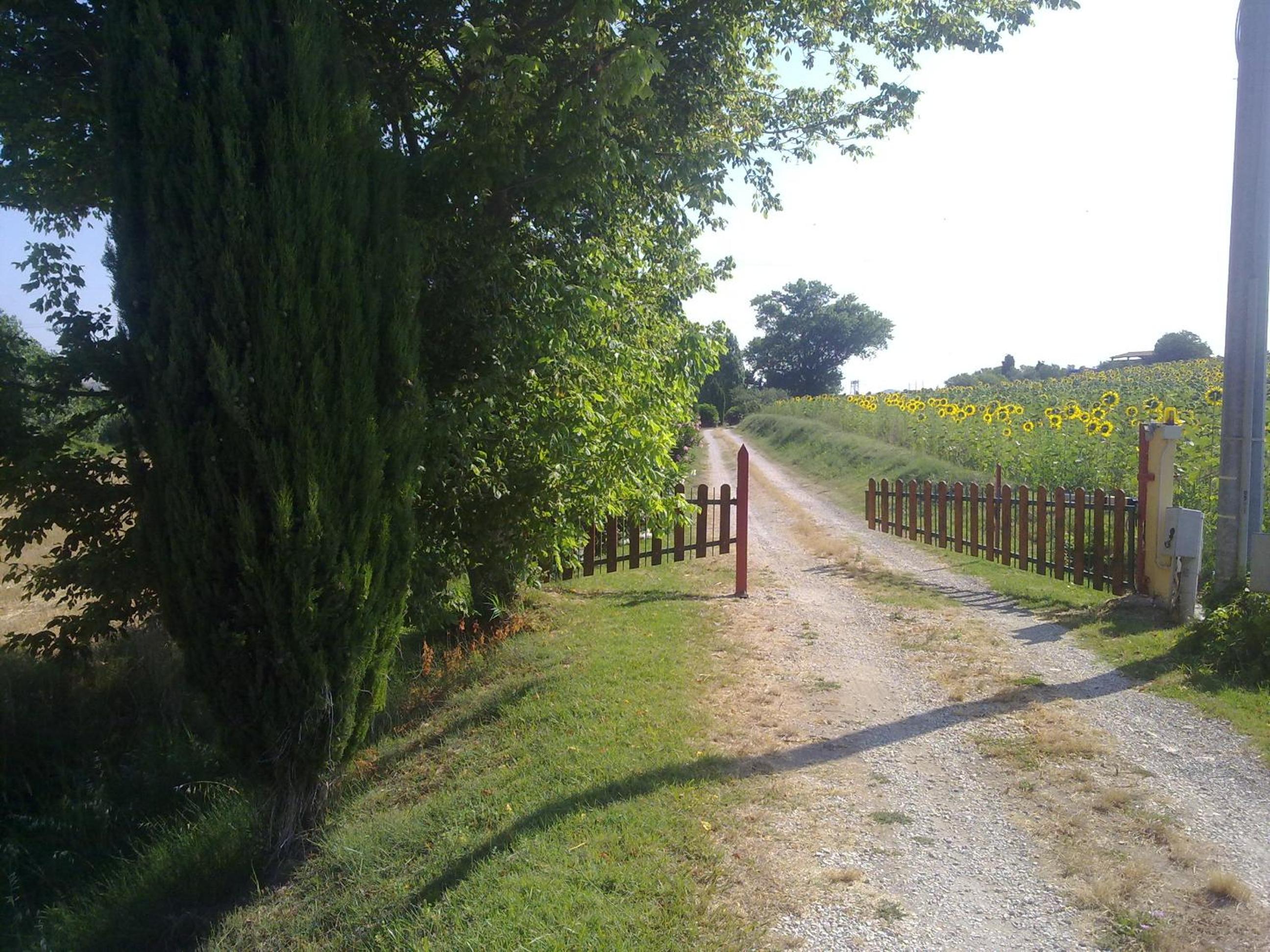 Photo 28