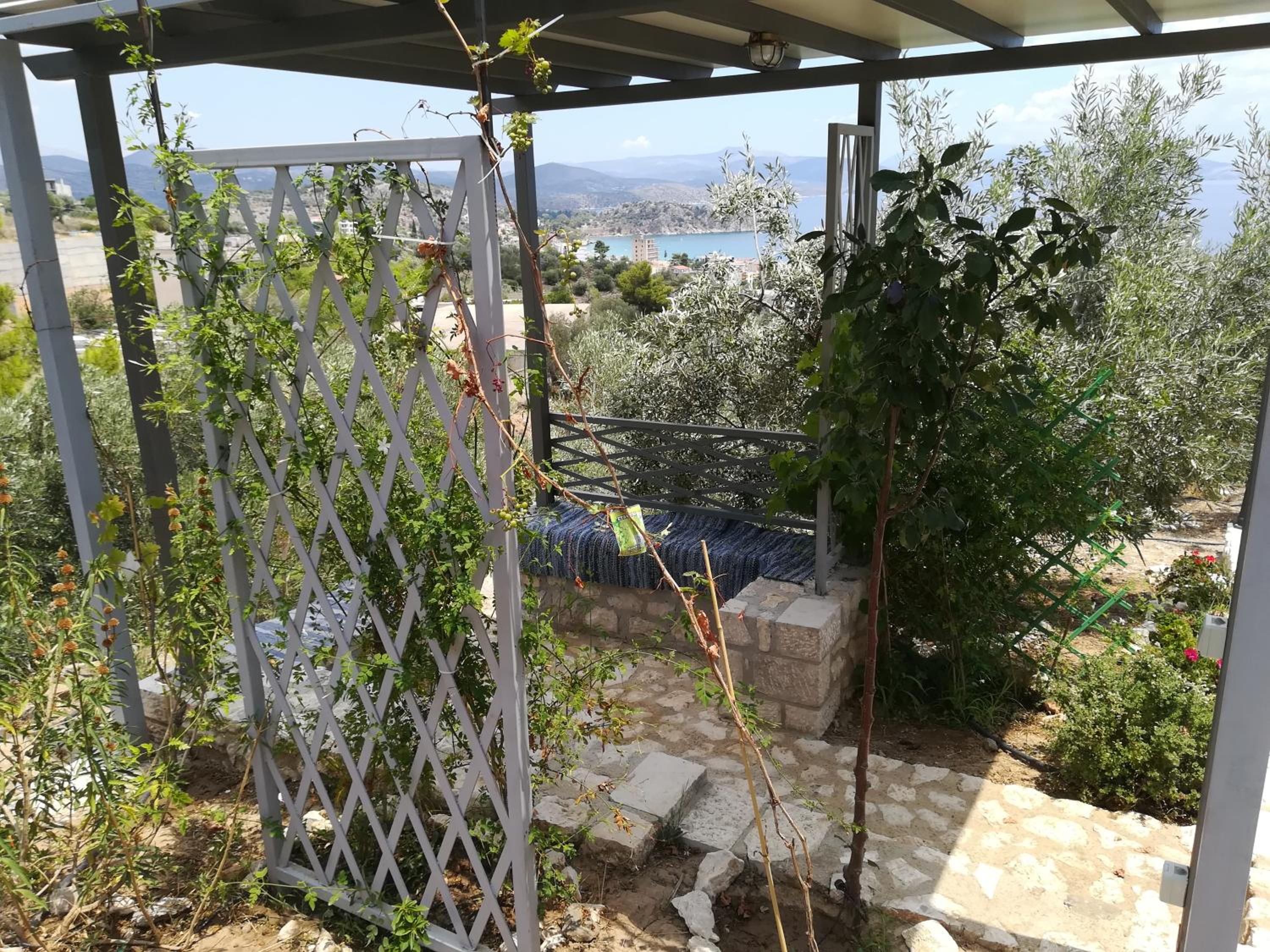 Photo 41
