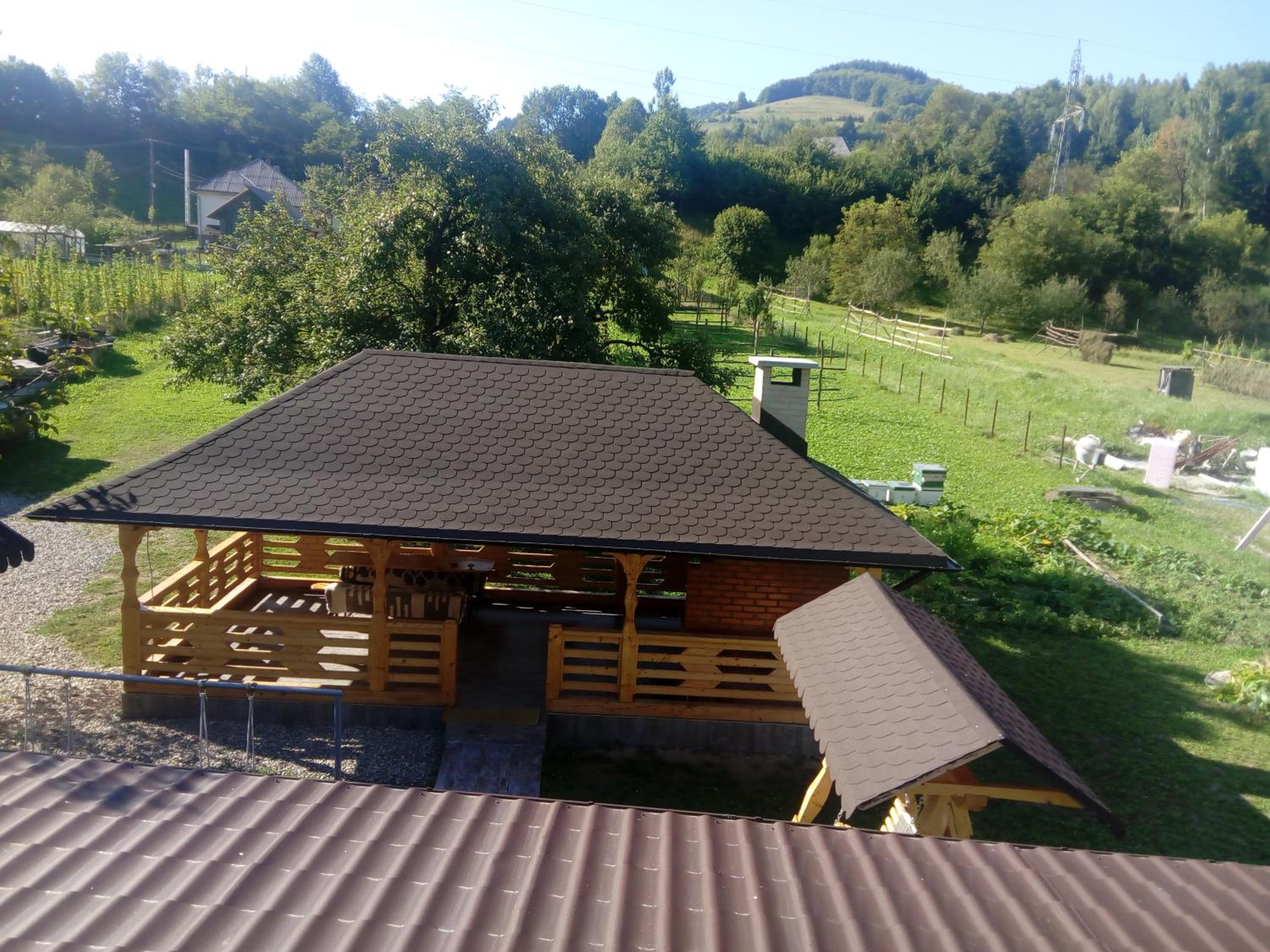 Photo 11