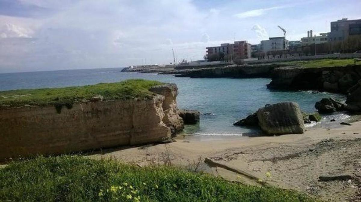 Photo 29