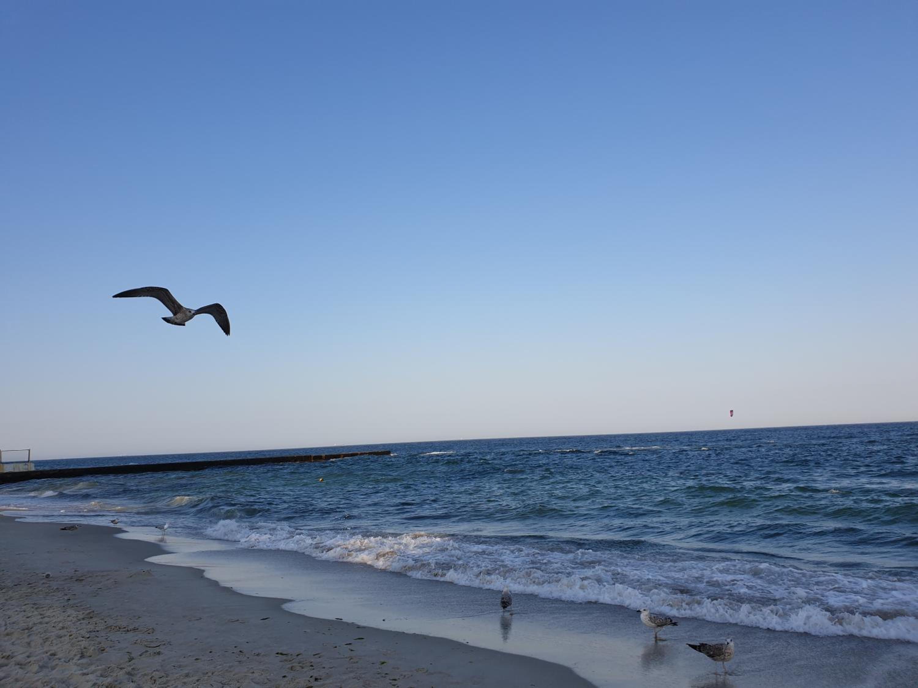 Photo 44