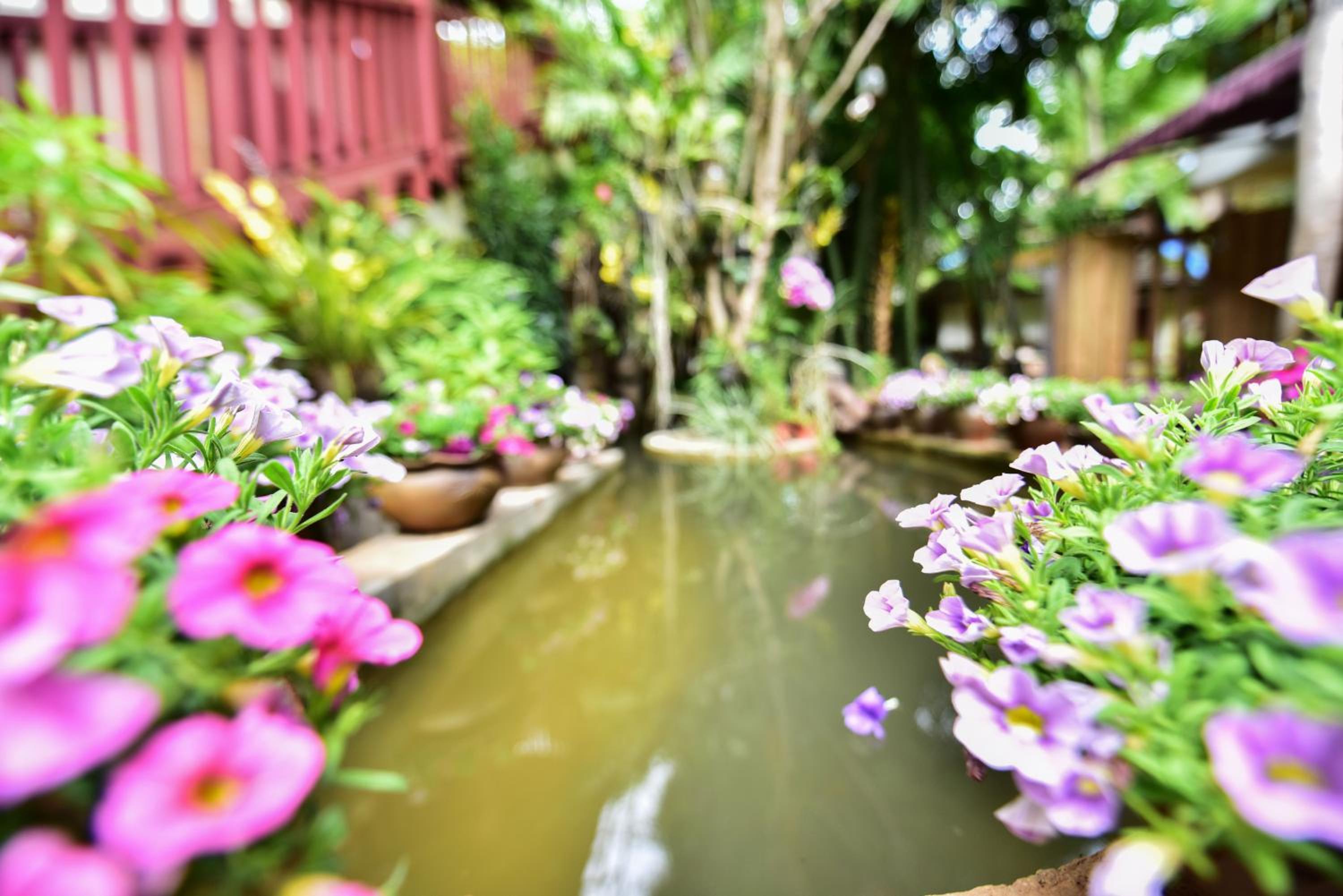 Xishuangbanna Elephant Home Guesthouse