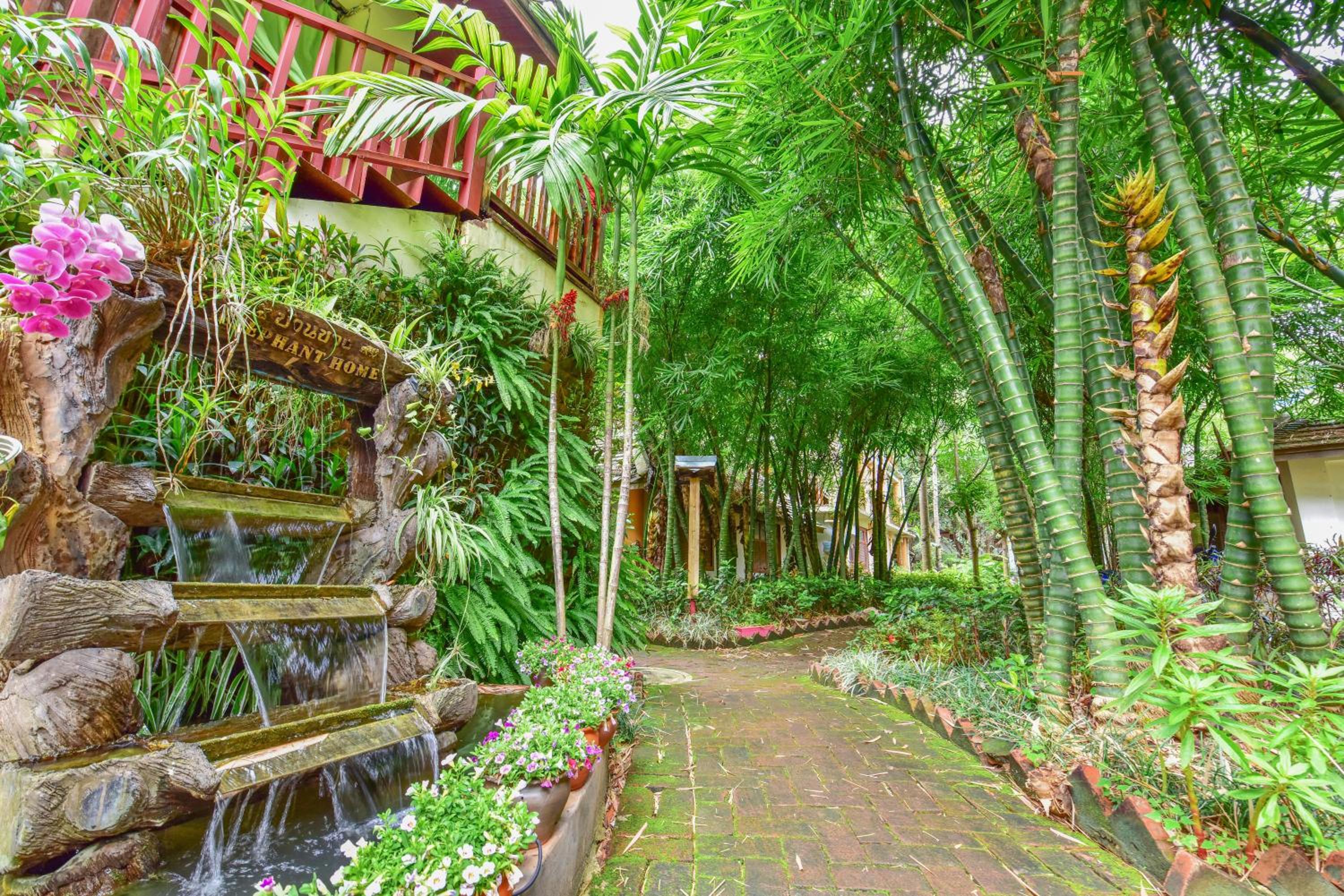 Xishuangbanna Elephant Home Guesthouse