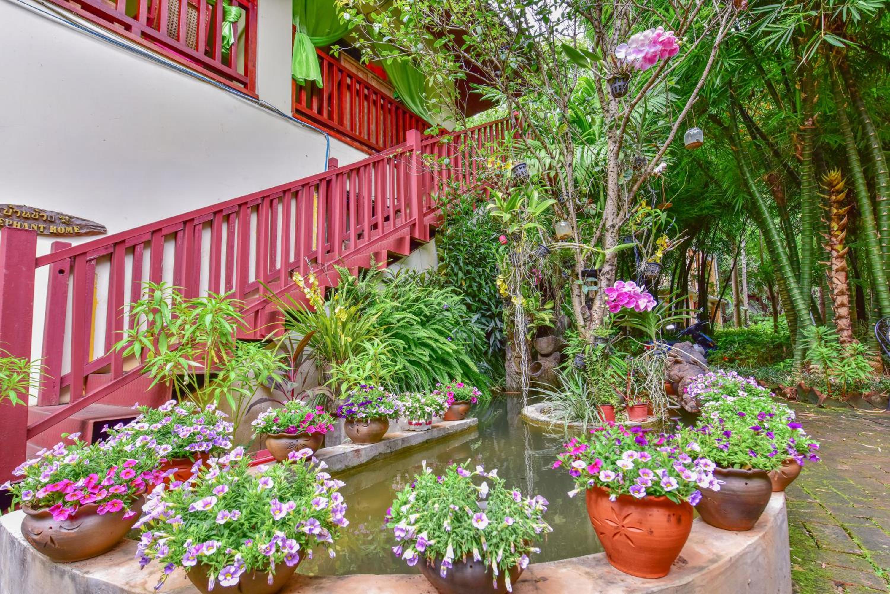 Xishuangbanna Elephant Home Guesthouse