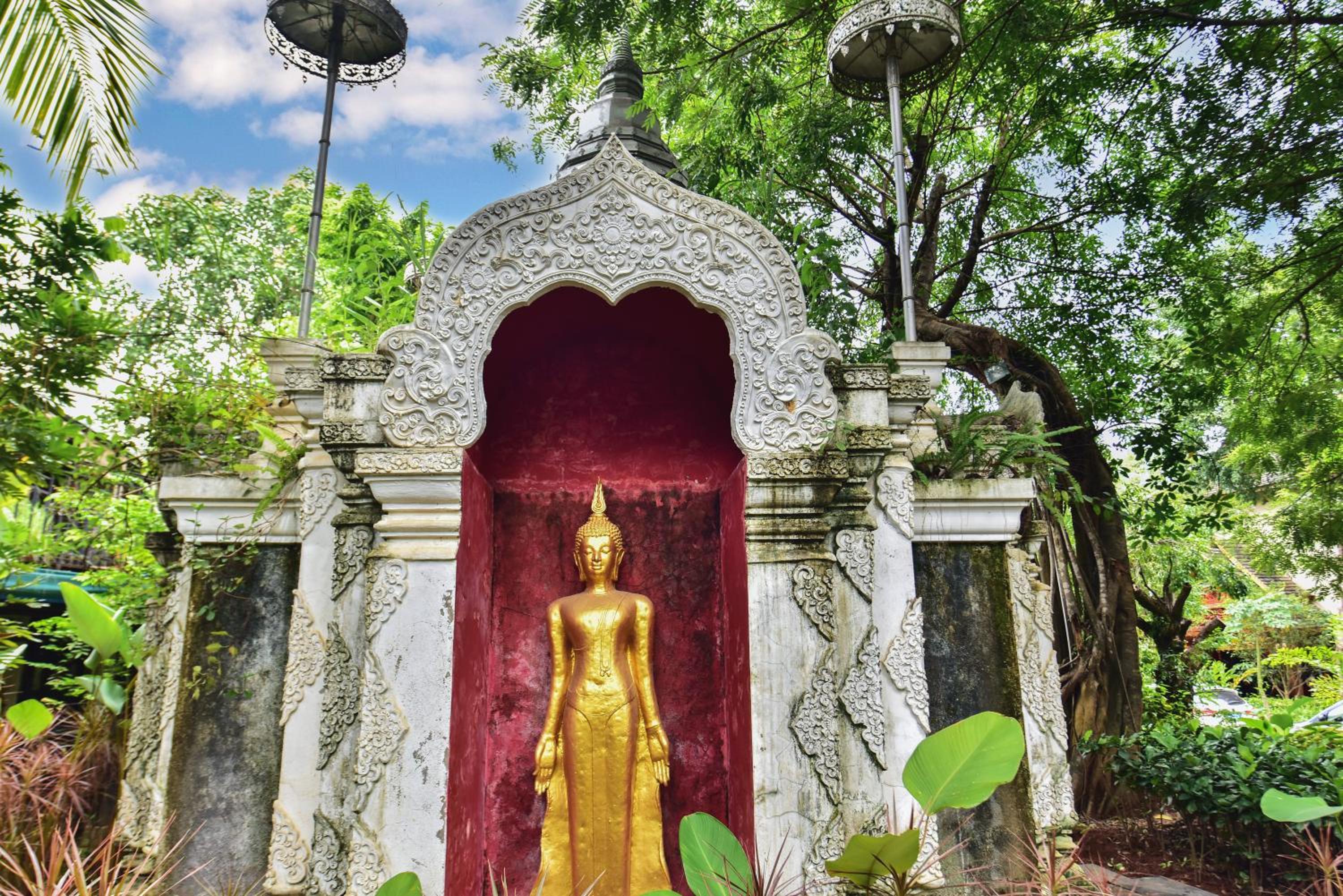 Xishuangbanna Elephant Home Guesthouse